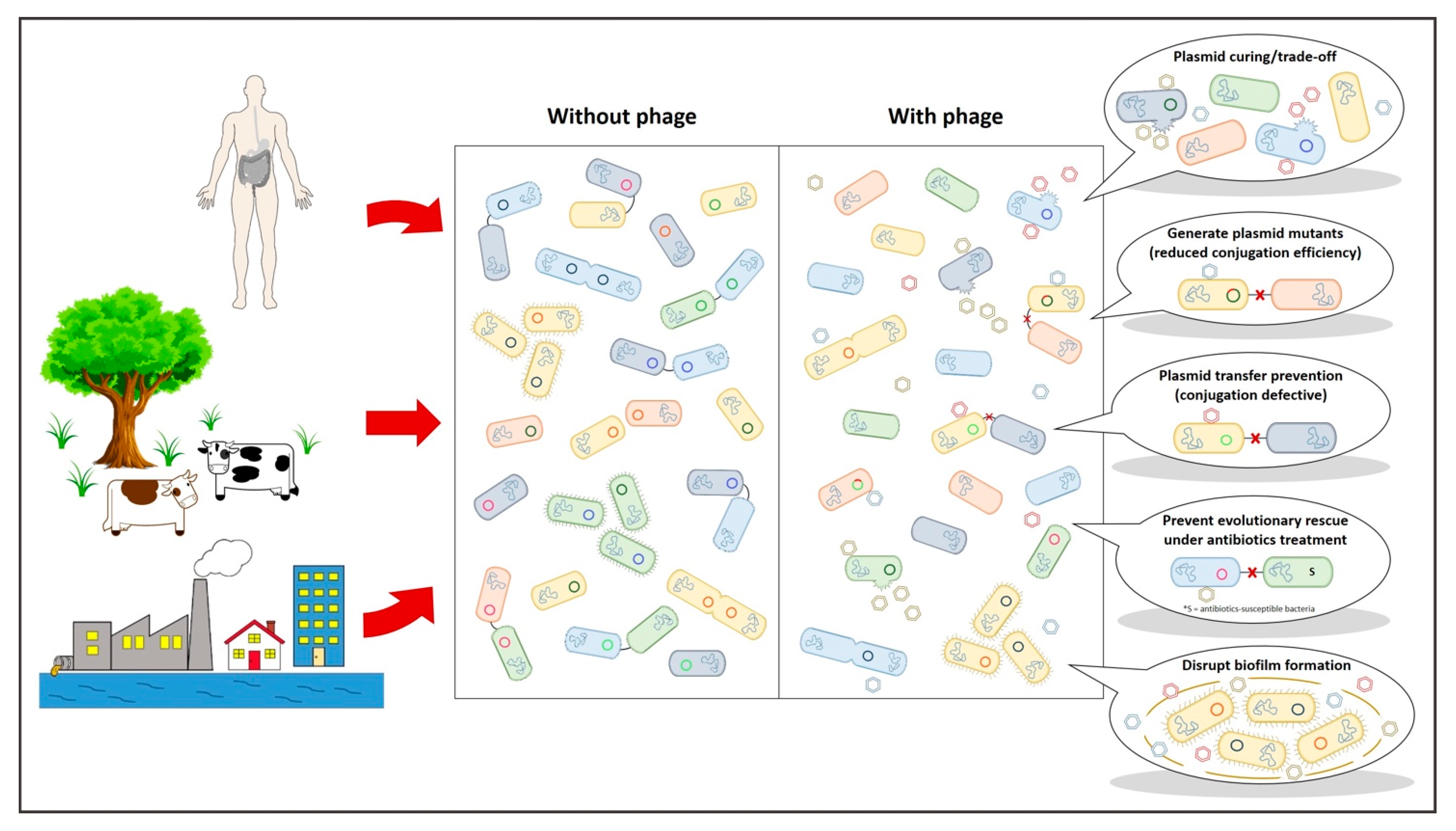 Microorganisms 09 00280 g002
