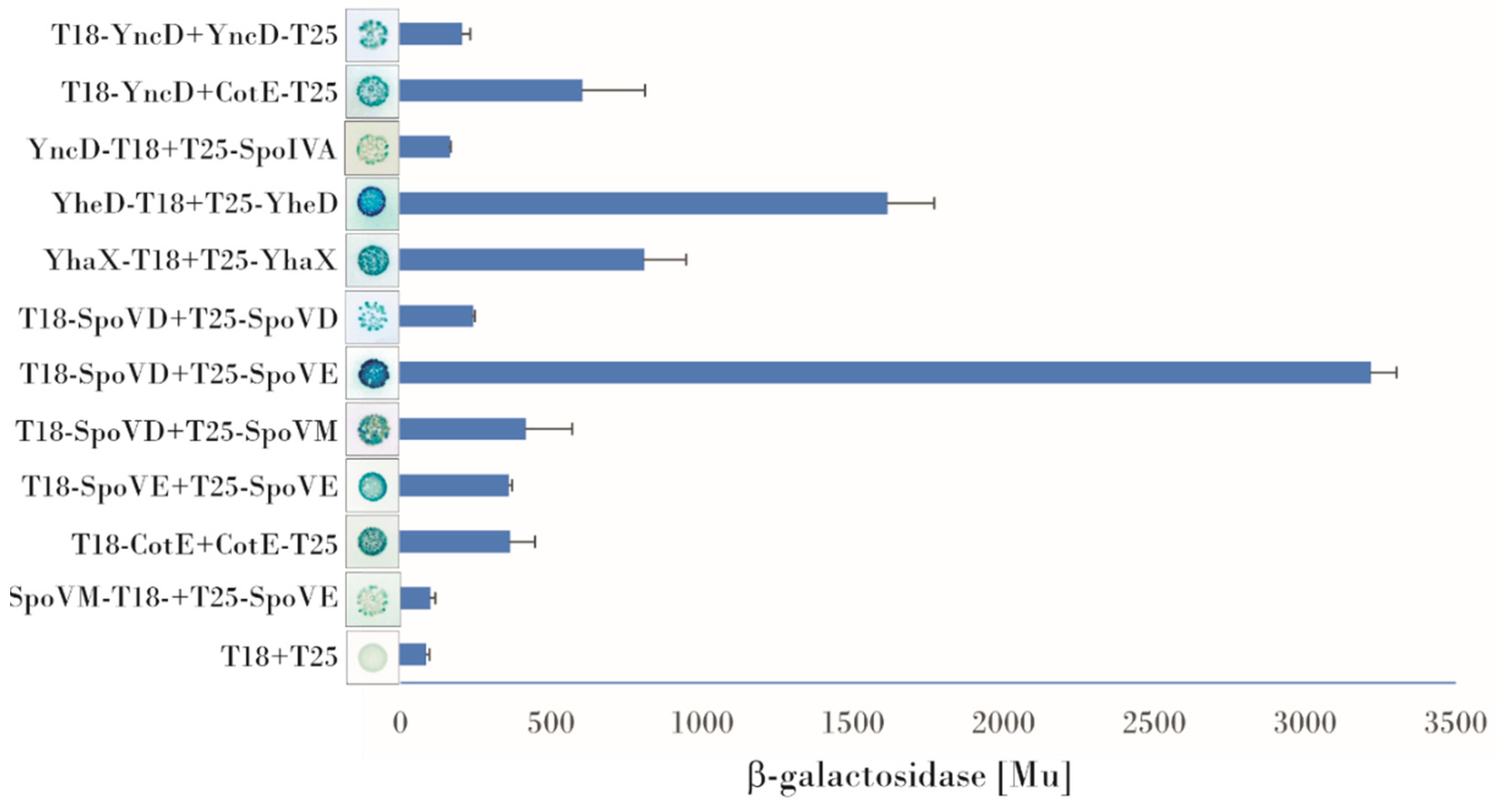 Microorganisms 09 00285 g001