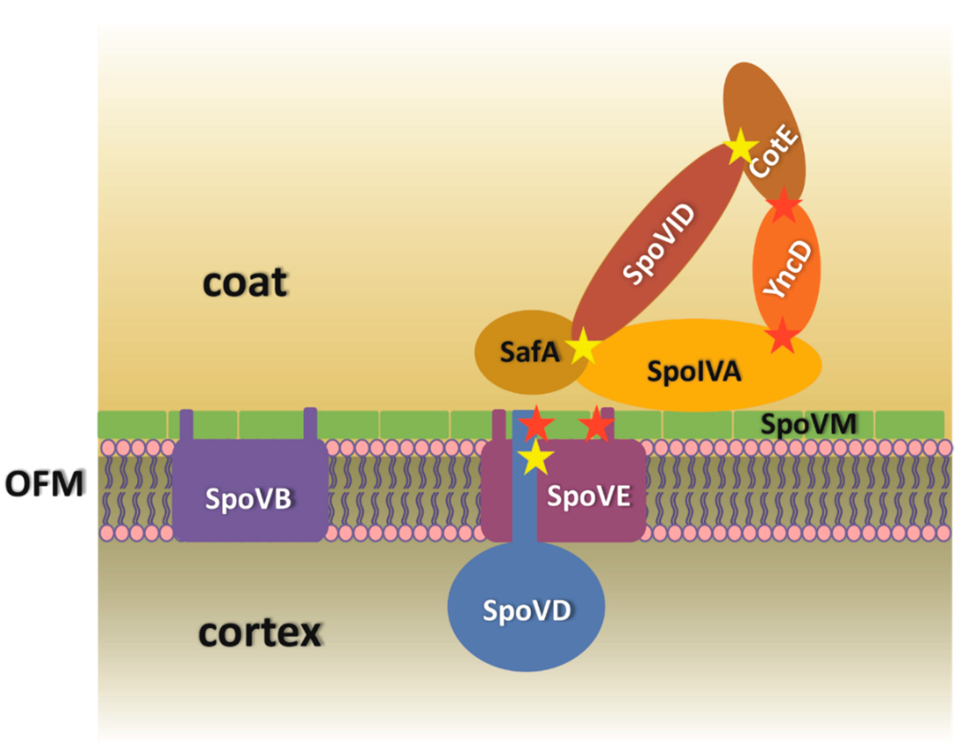 Microorganisms 09 00285 g006