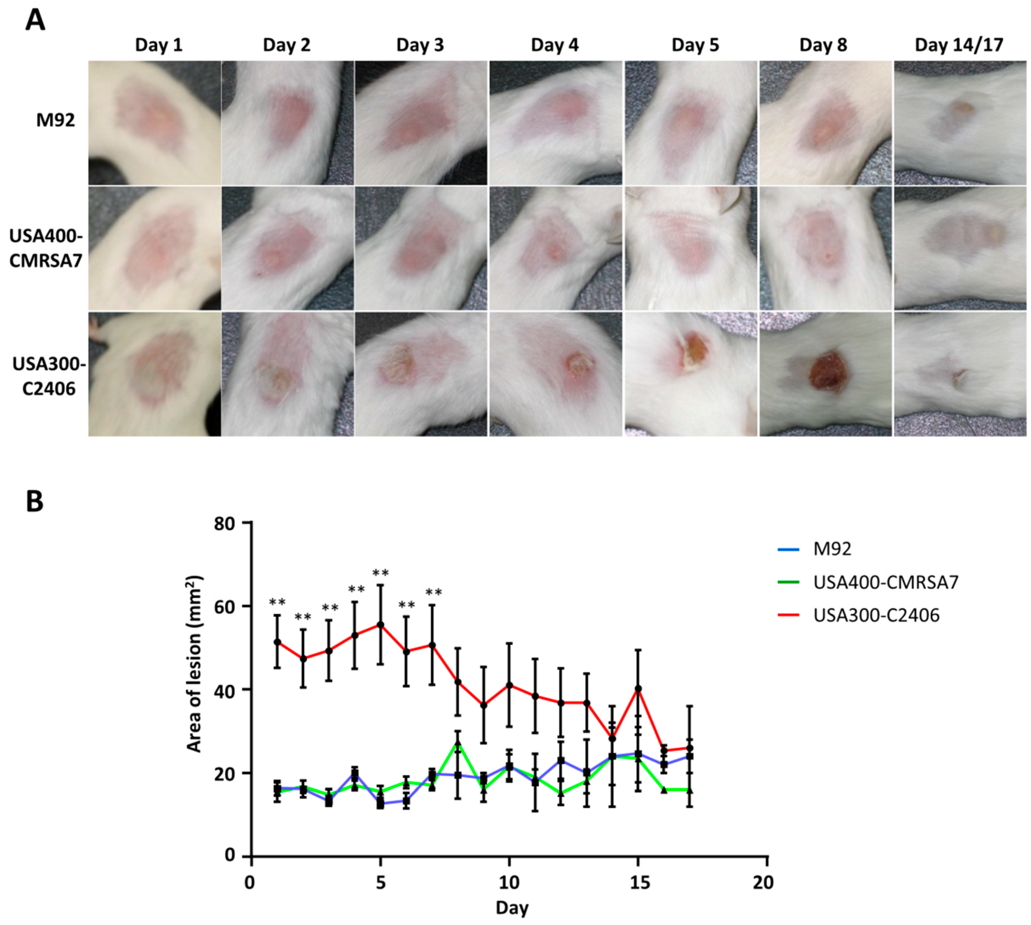 Microorganisms 09 00287 g002