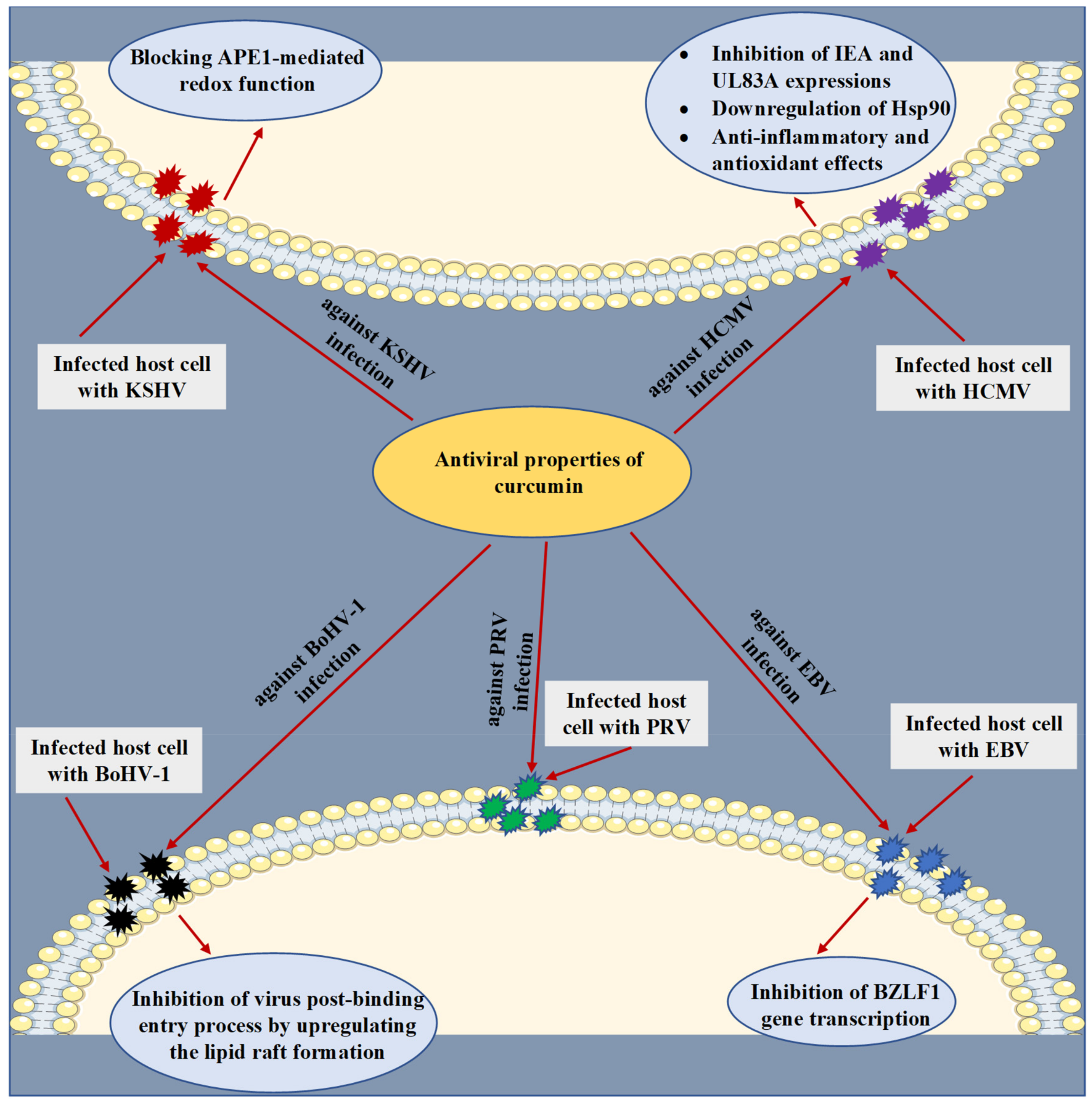 Microorganisms 09 00292 g003