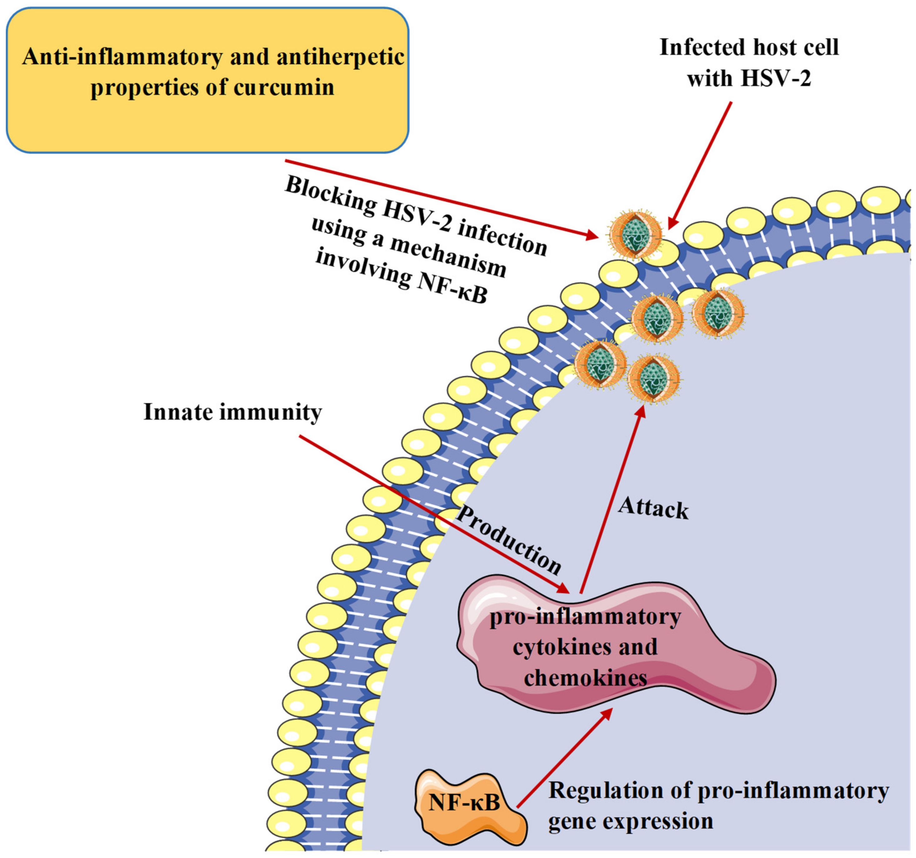 Microorganisms 09 00292 g004