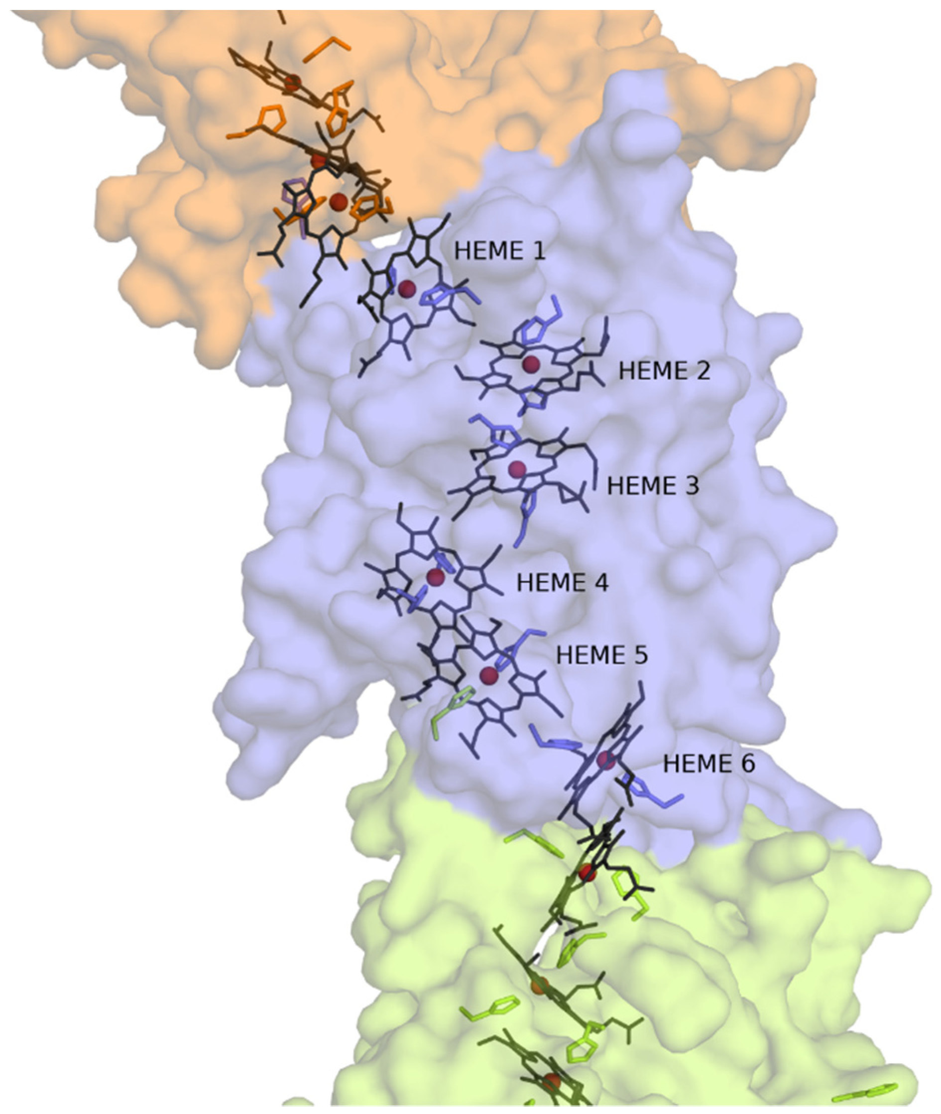 Microorganisms 09 00293 g003
