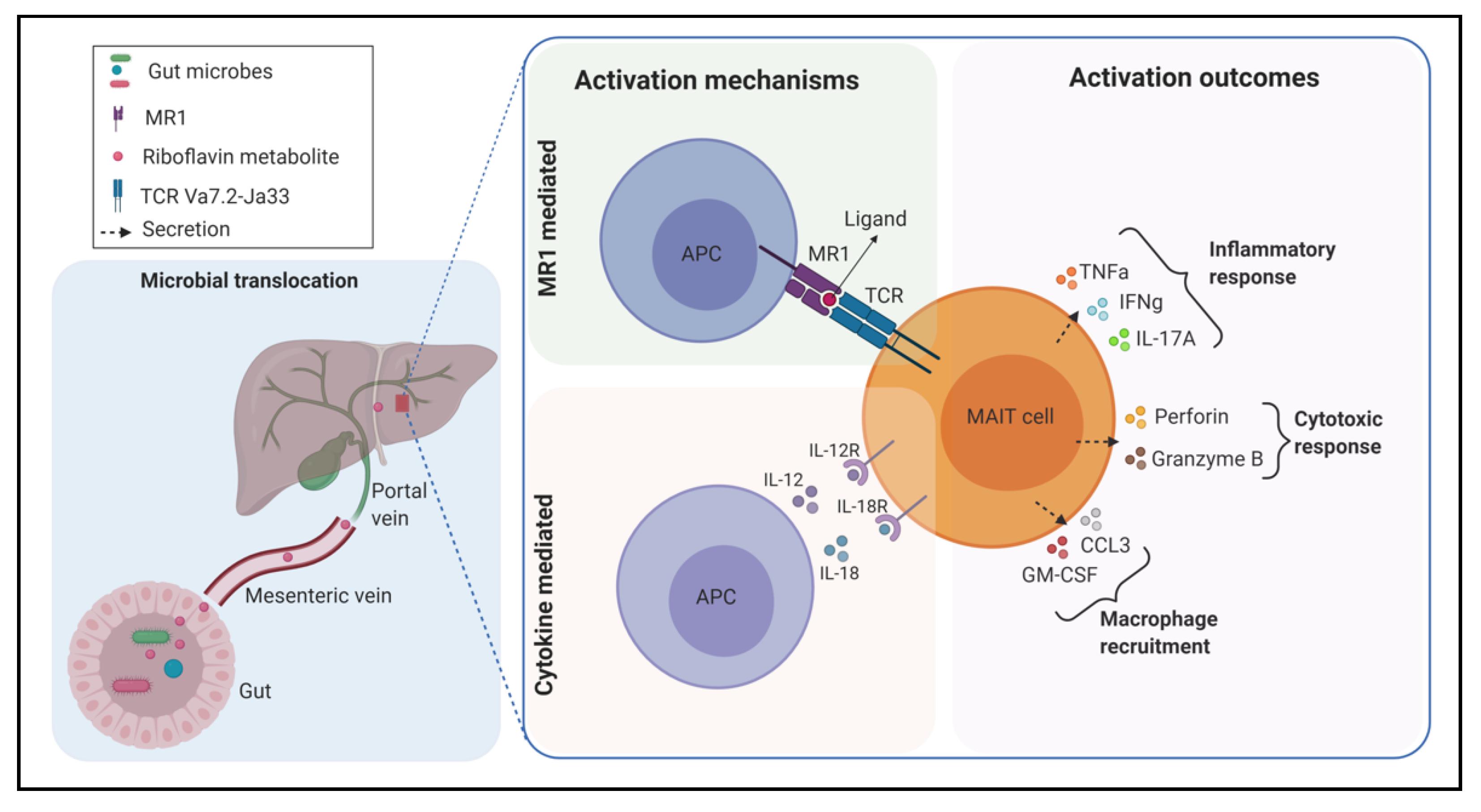 Microorganisms 09 00296 g001