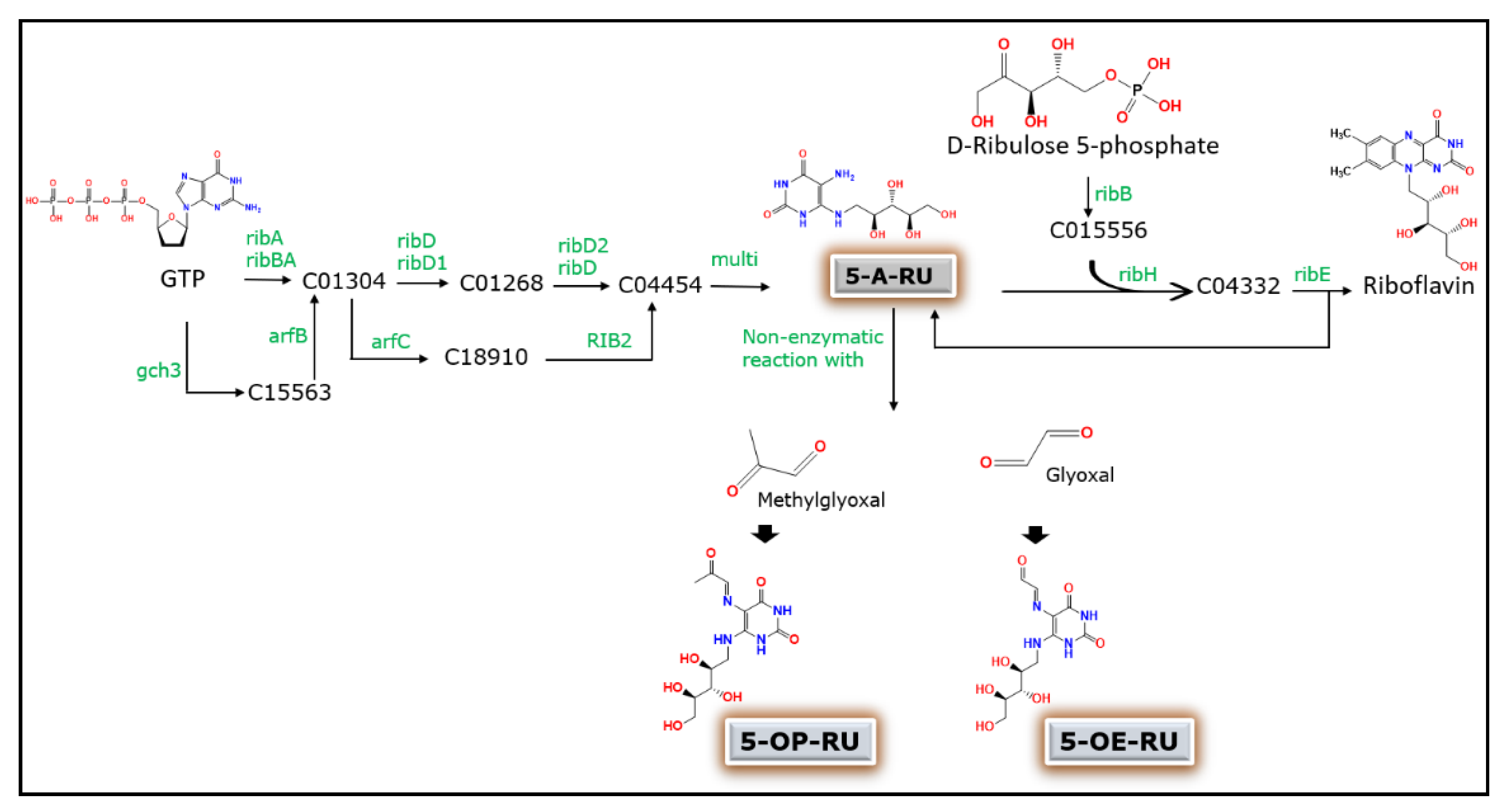 Microorganisms 09 00296 g002