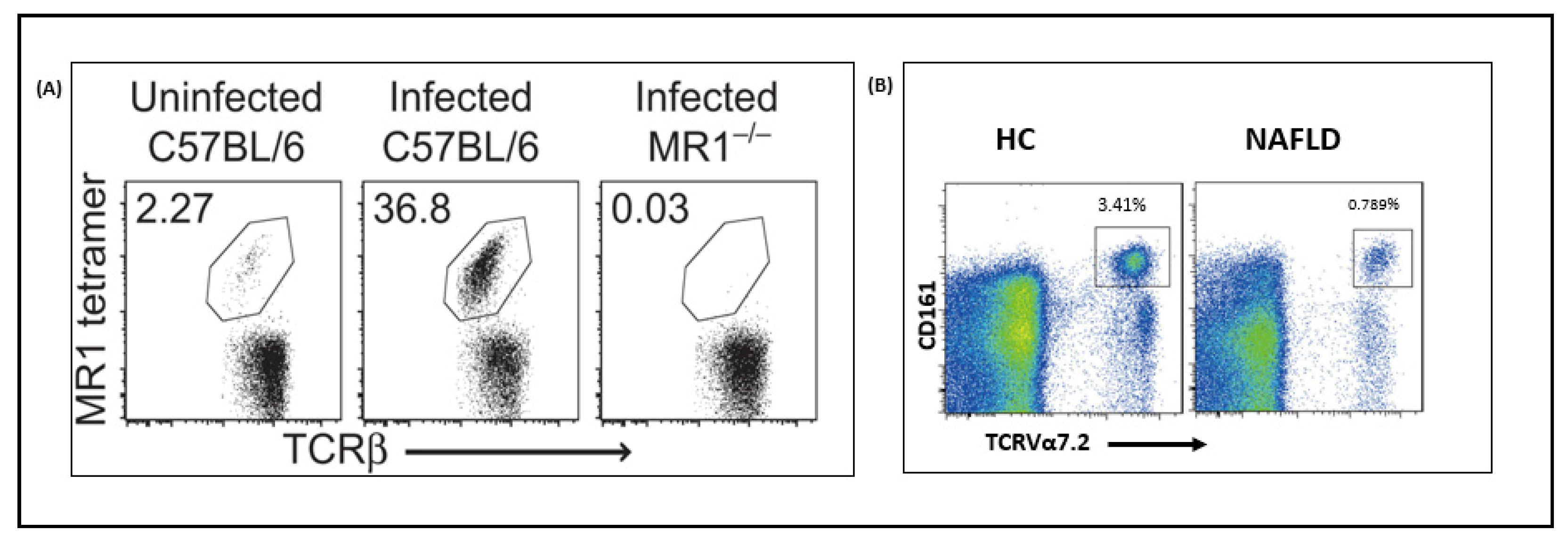 Microorganisms 09 00296 g003