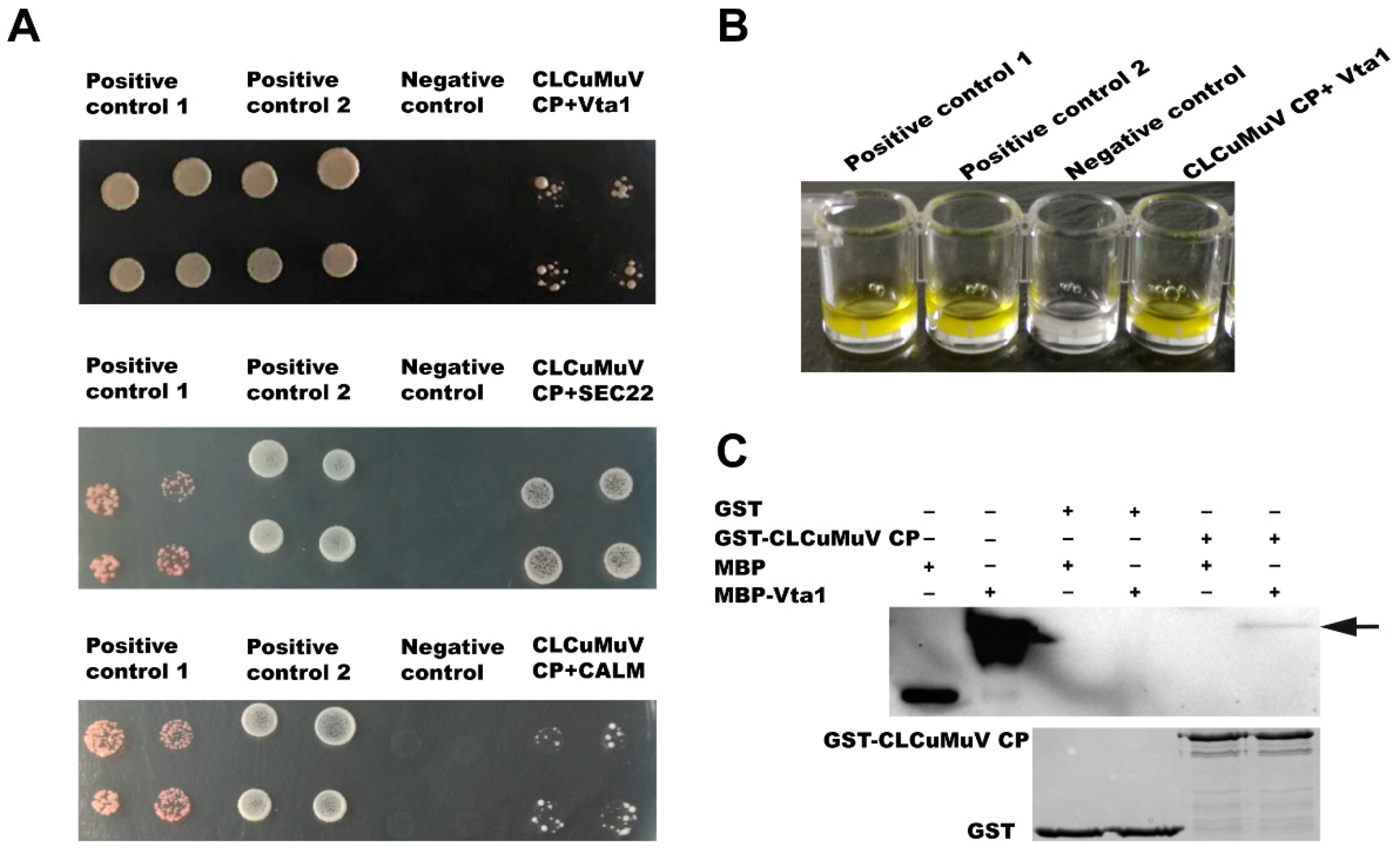Microorganisms 09 00304 g002 Microorganisms 09 00304 g002