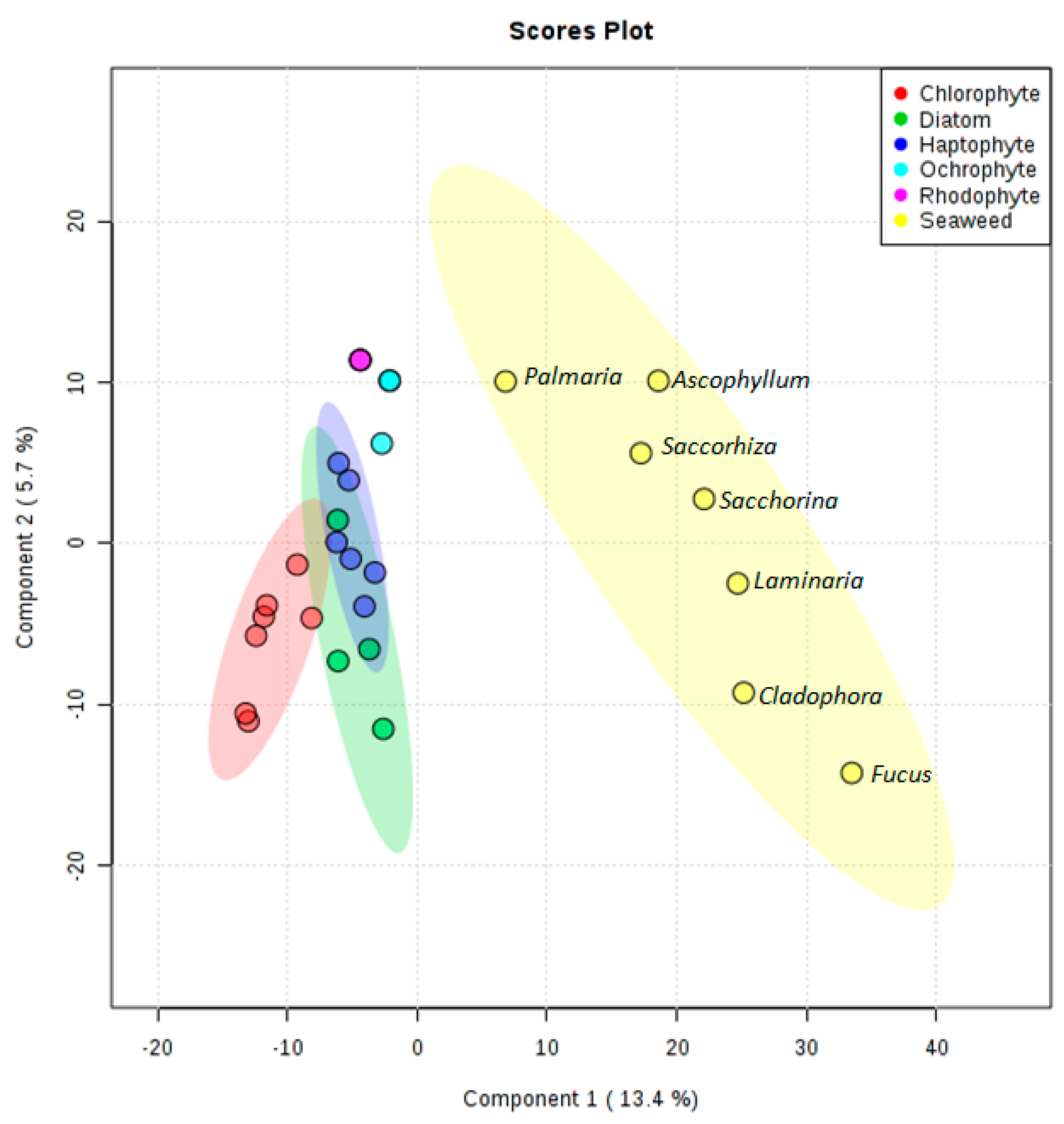 Microorganisms 09 00311 g002