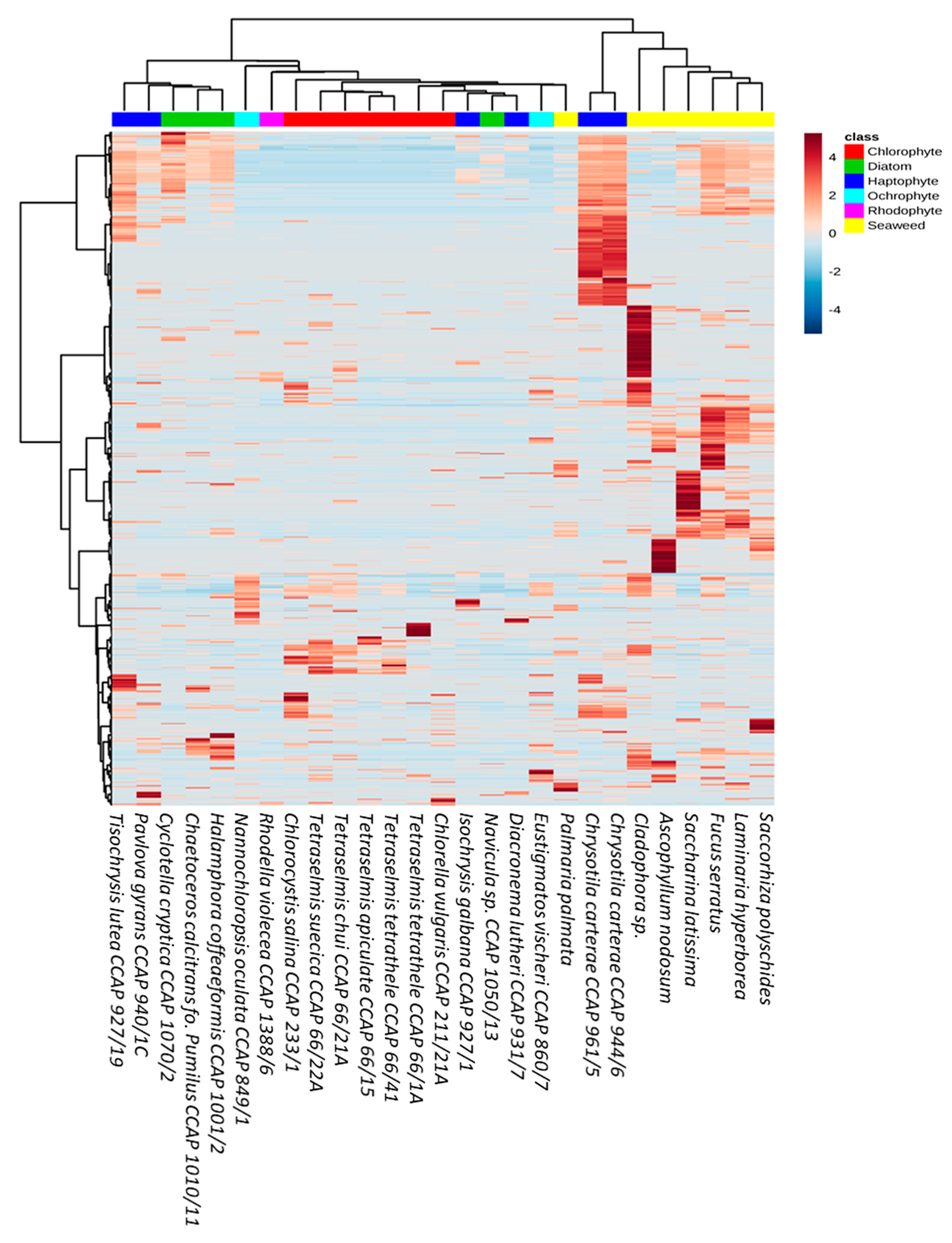 Microorganisms 09 00311 g003