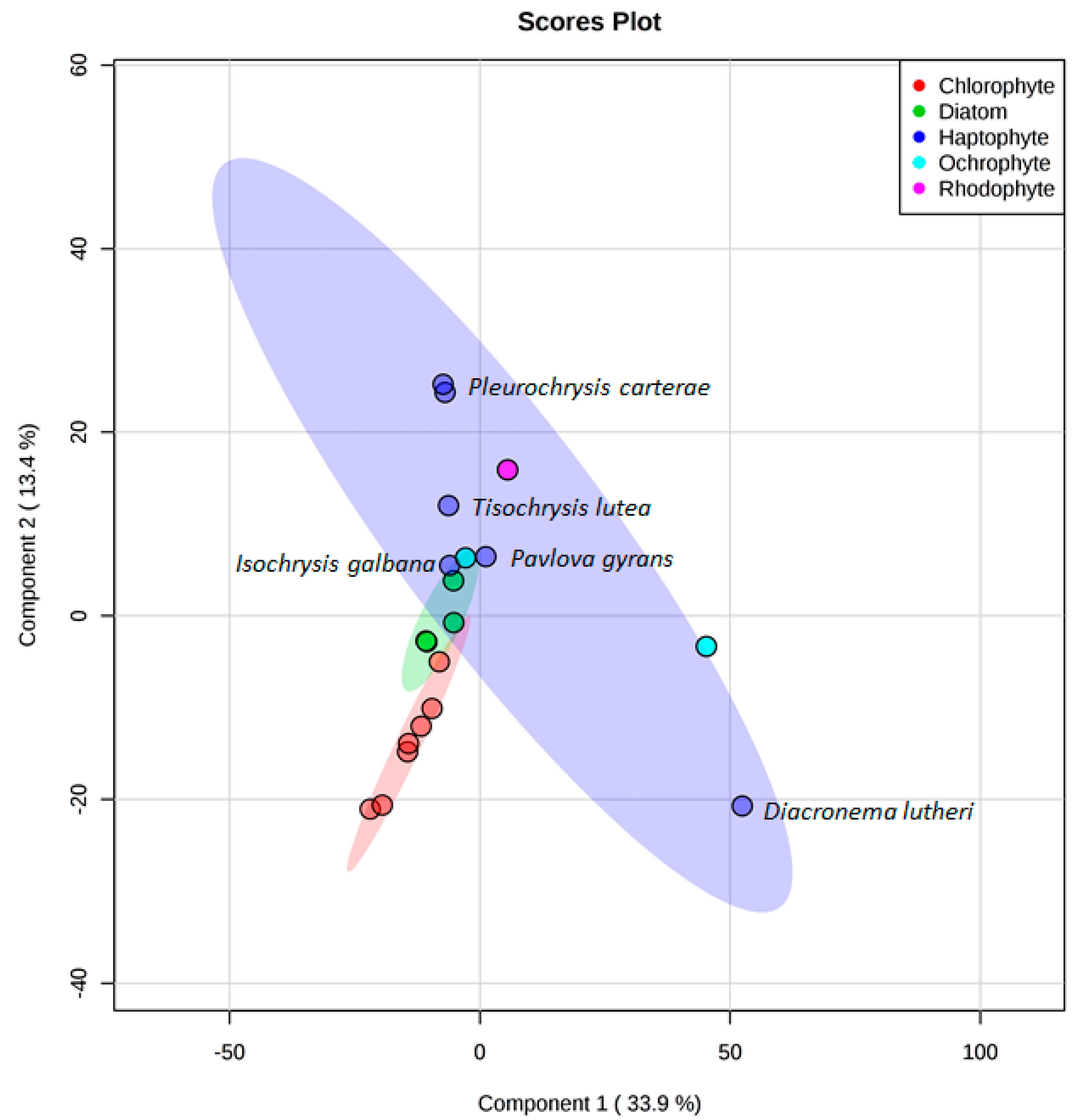 Microorganisms 09 00311 g005