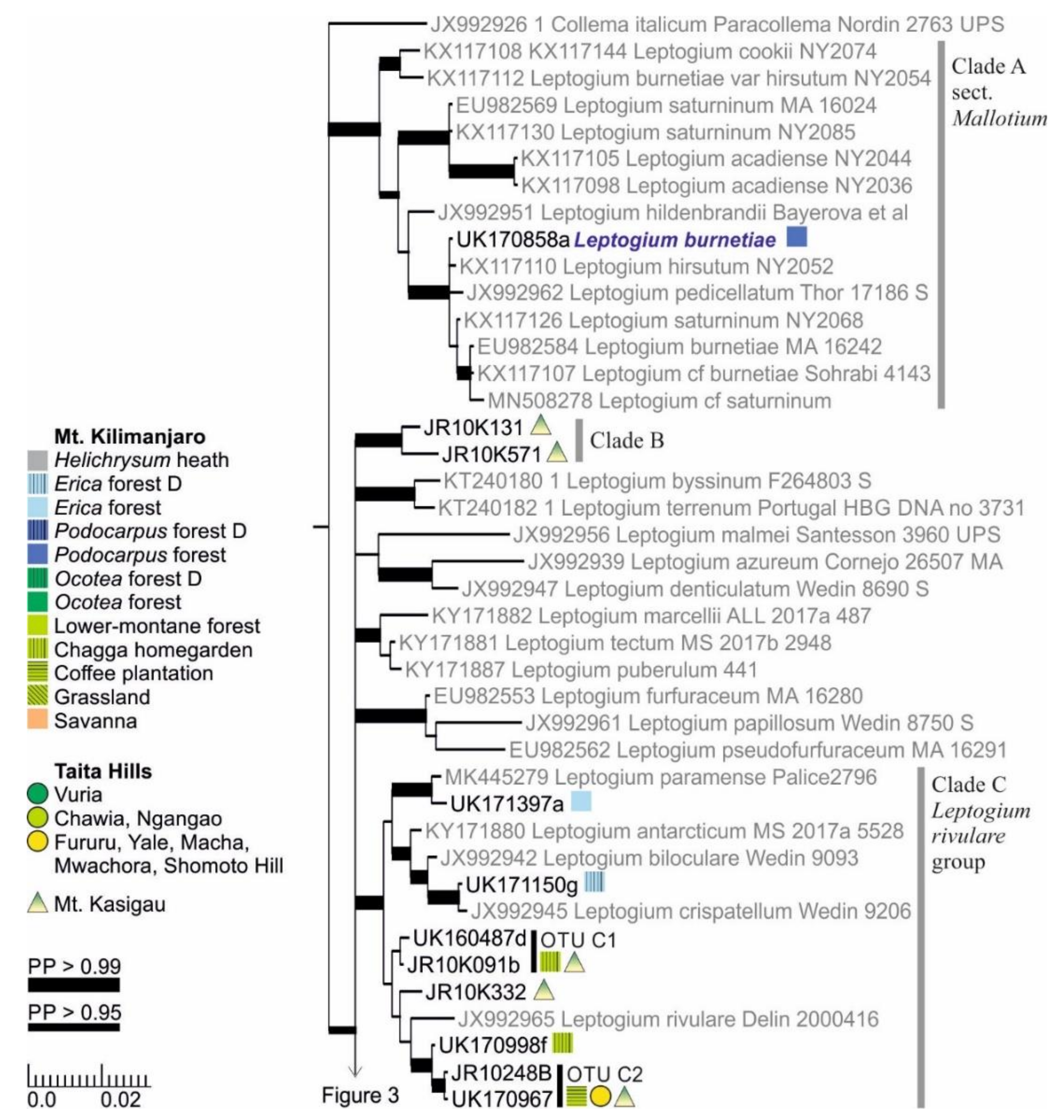 Microorganisms 09 00314 g002