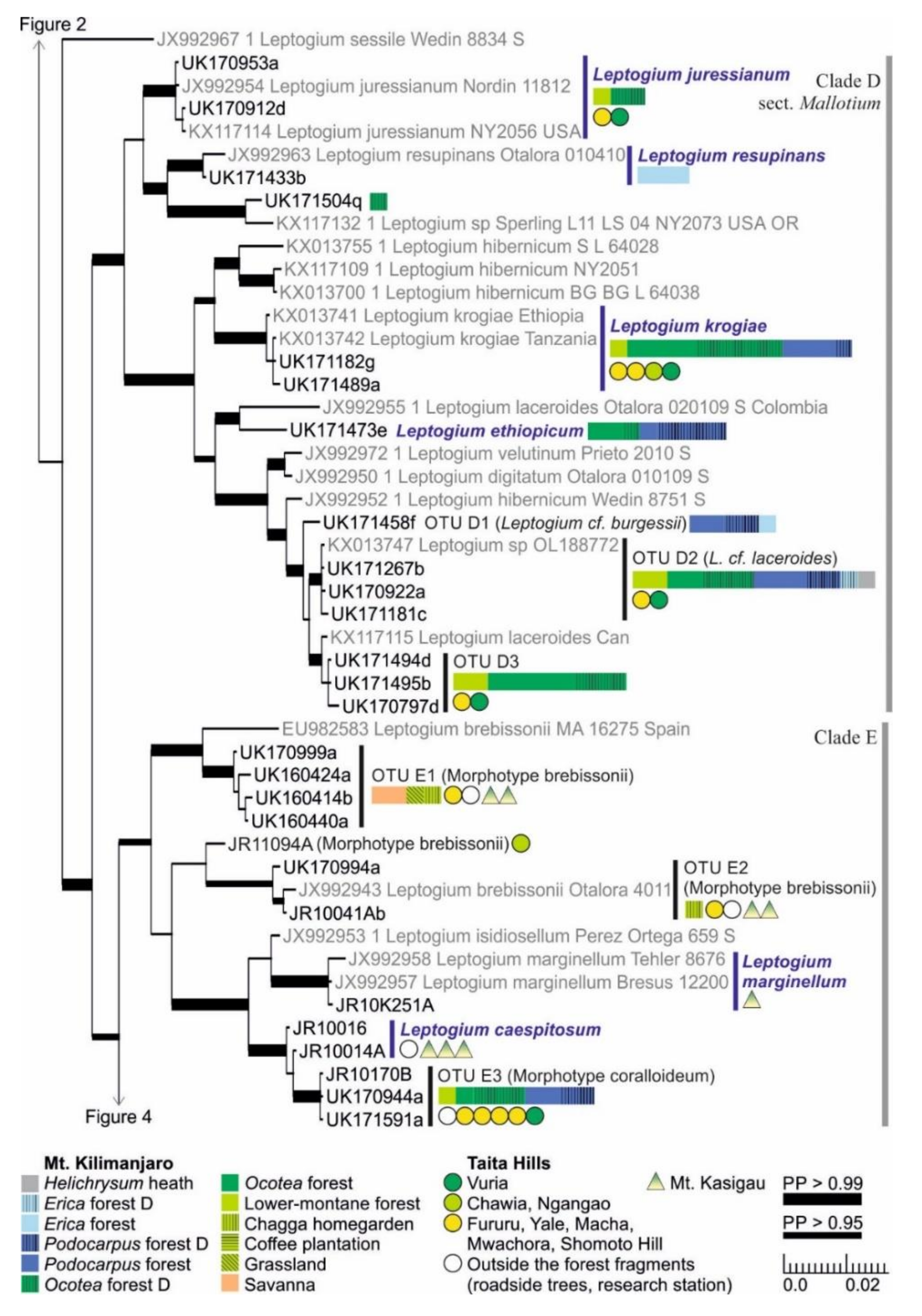 Microorganisms 09 00314 g003