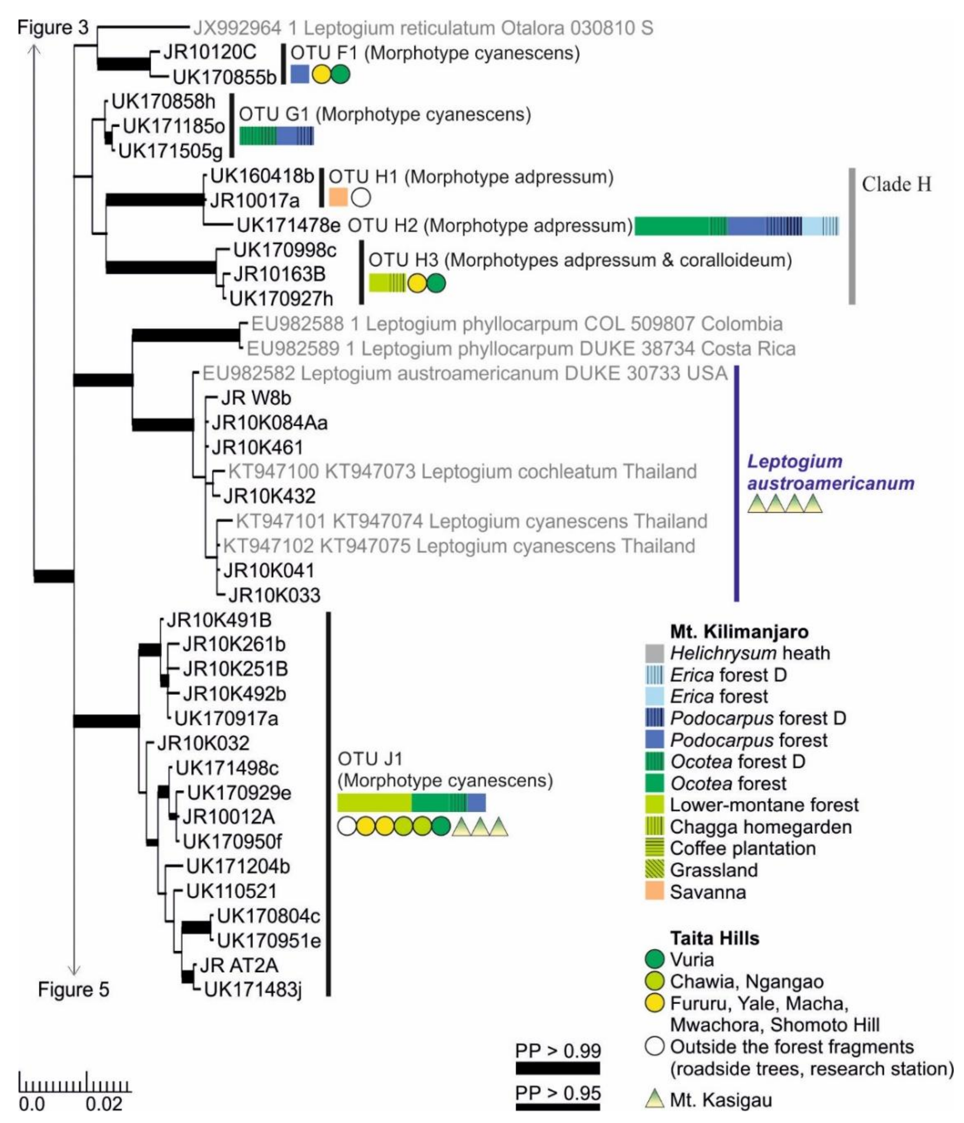 Microorganisms 09 00314 g004