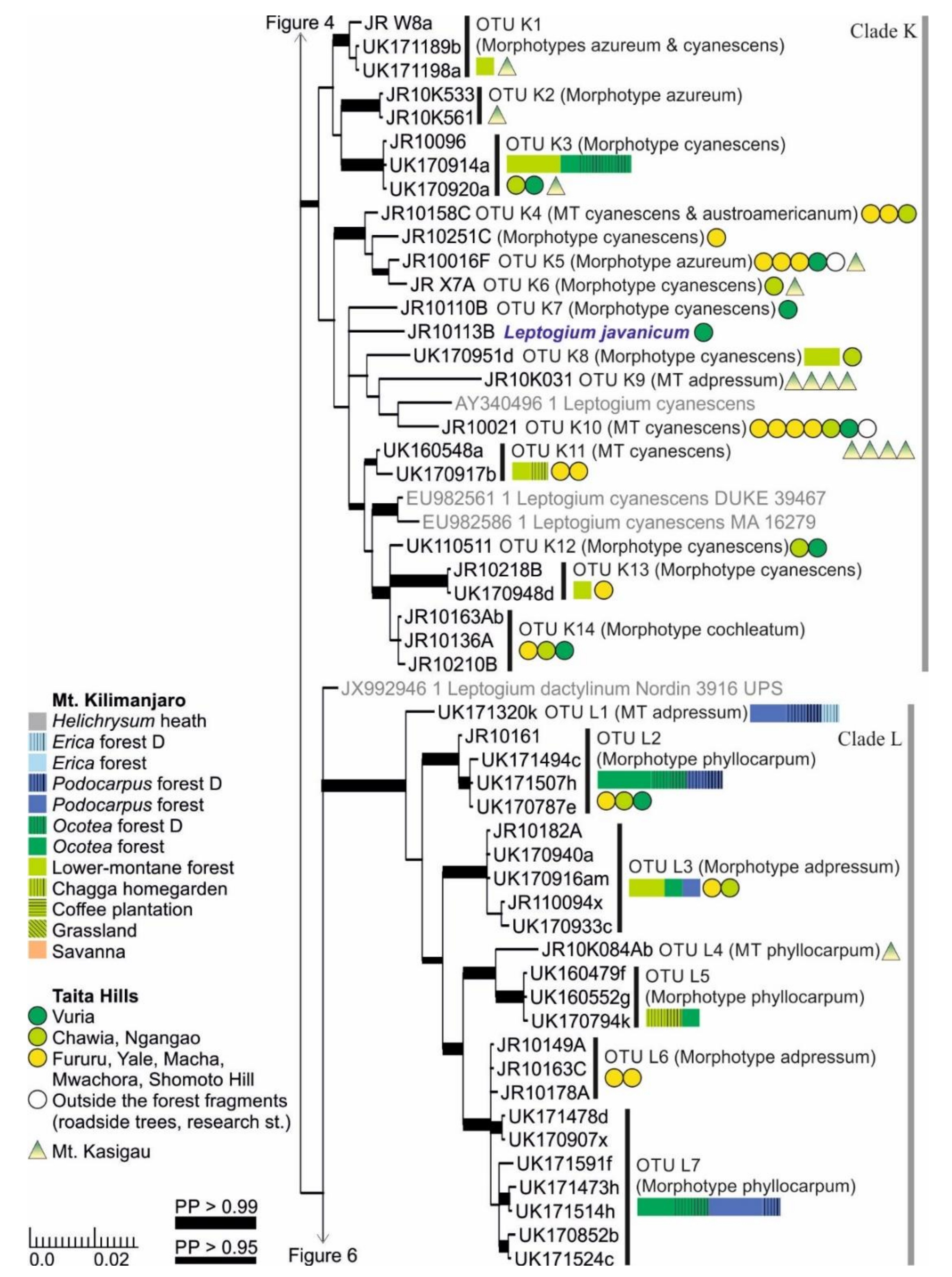 Microorganisms 09 00314 g005