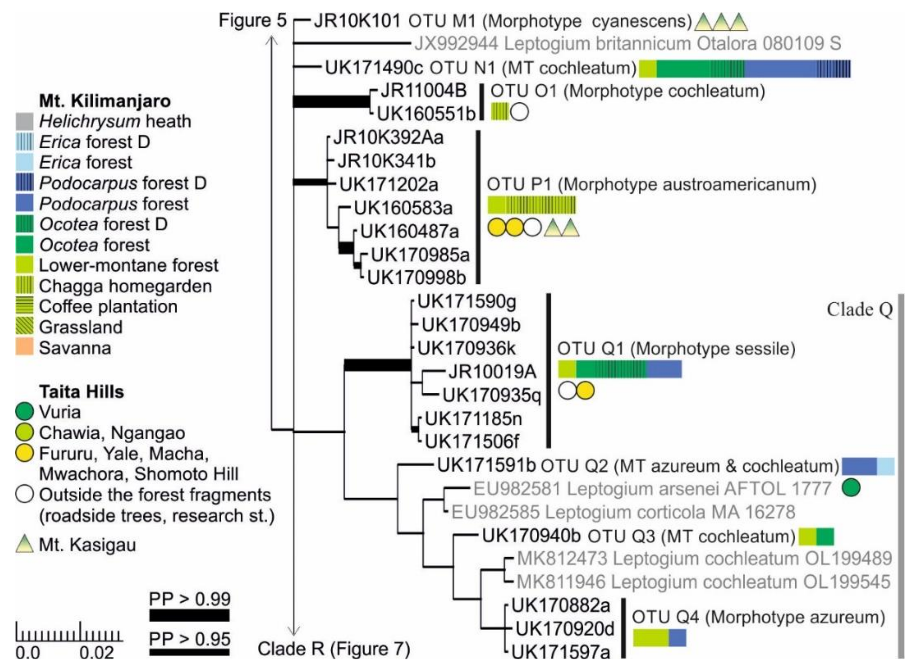 Microorganisms 09 00314 g006