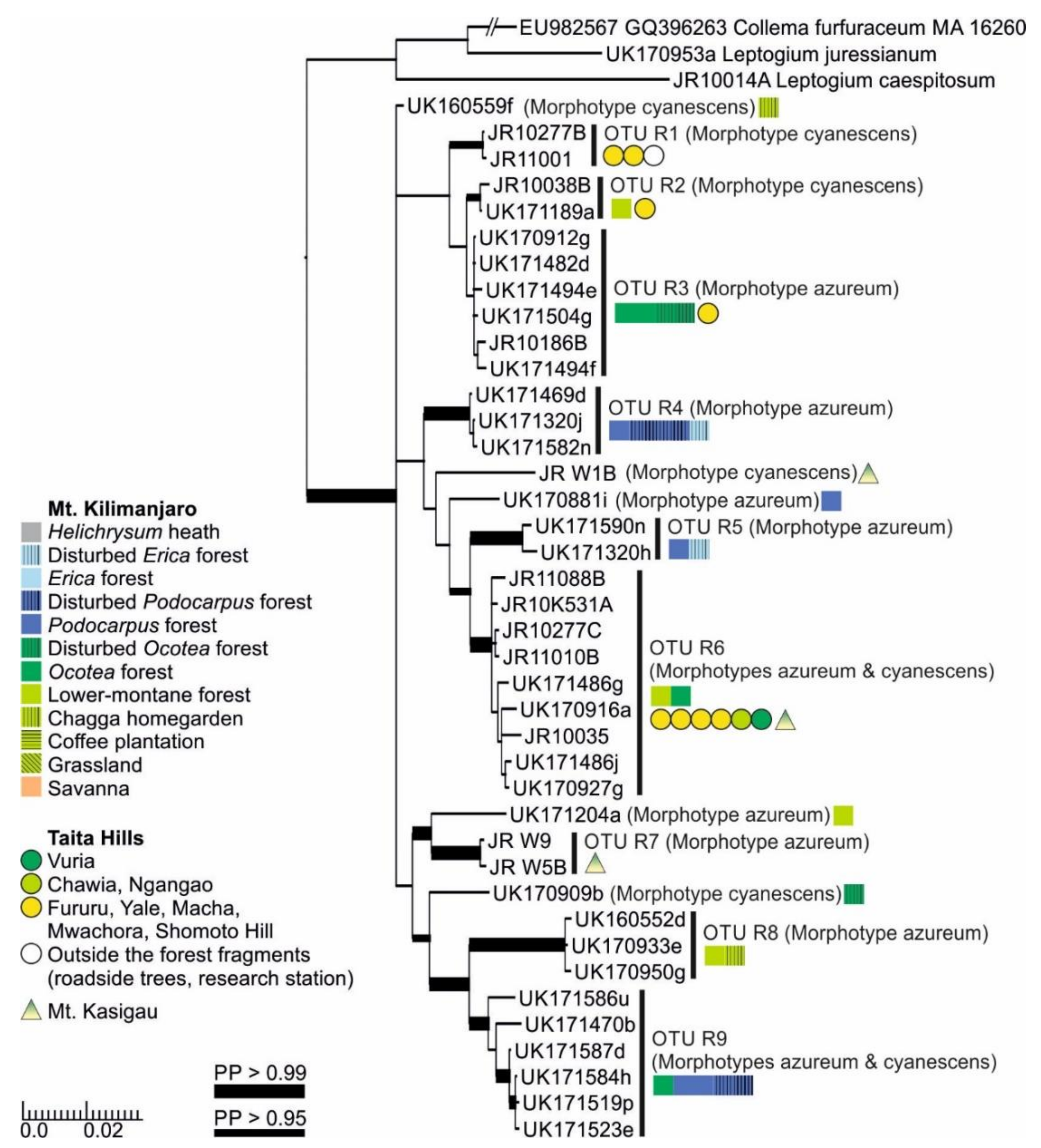 Microorganisms 09 00314 g007
