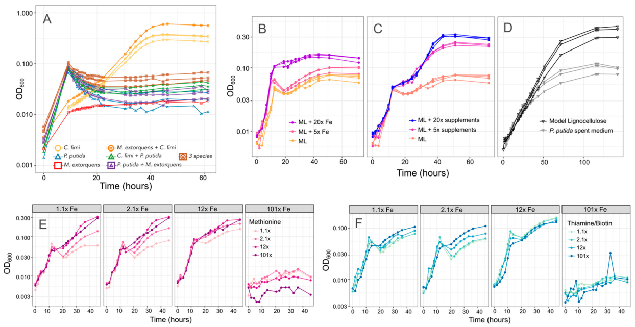 Microorganisms 09 00321 g008