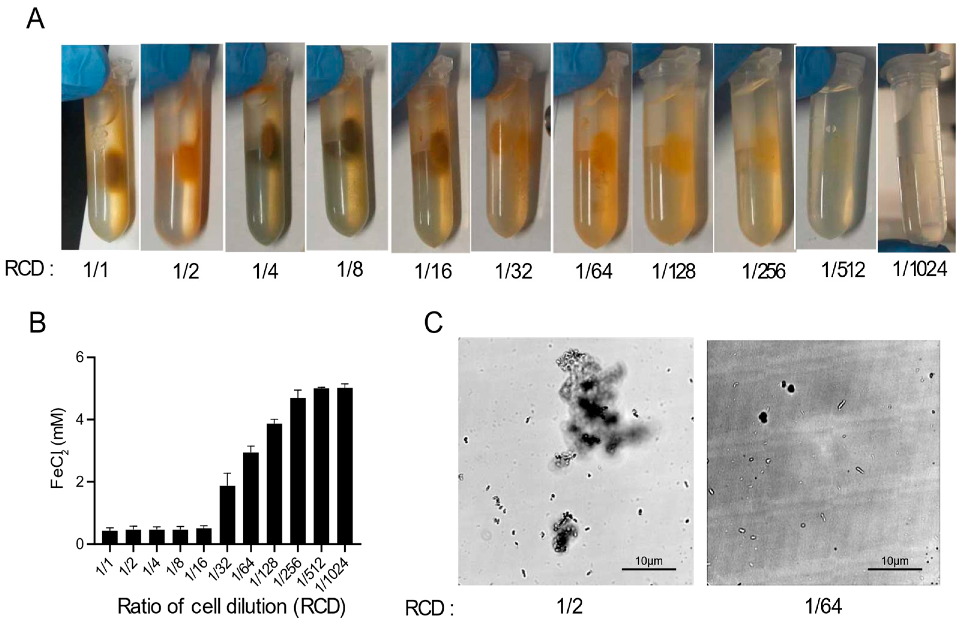 Microorganisms 09 00331 g002