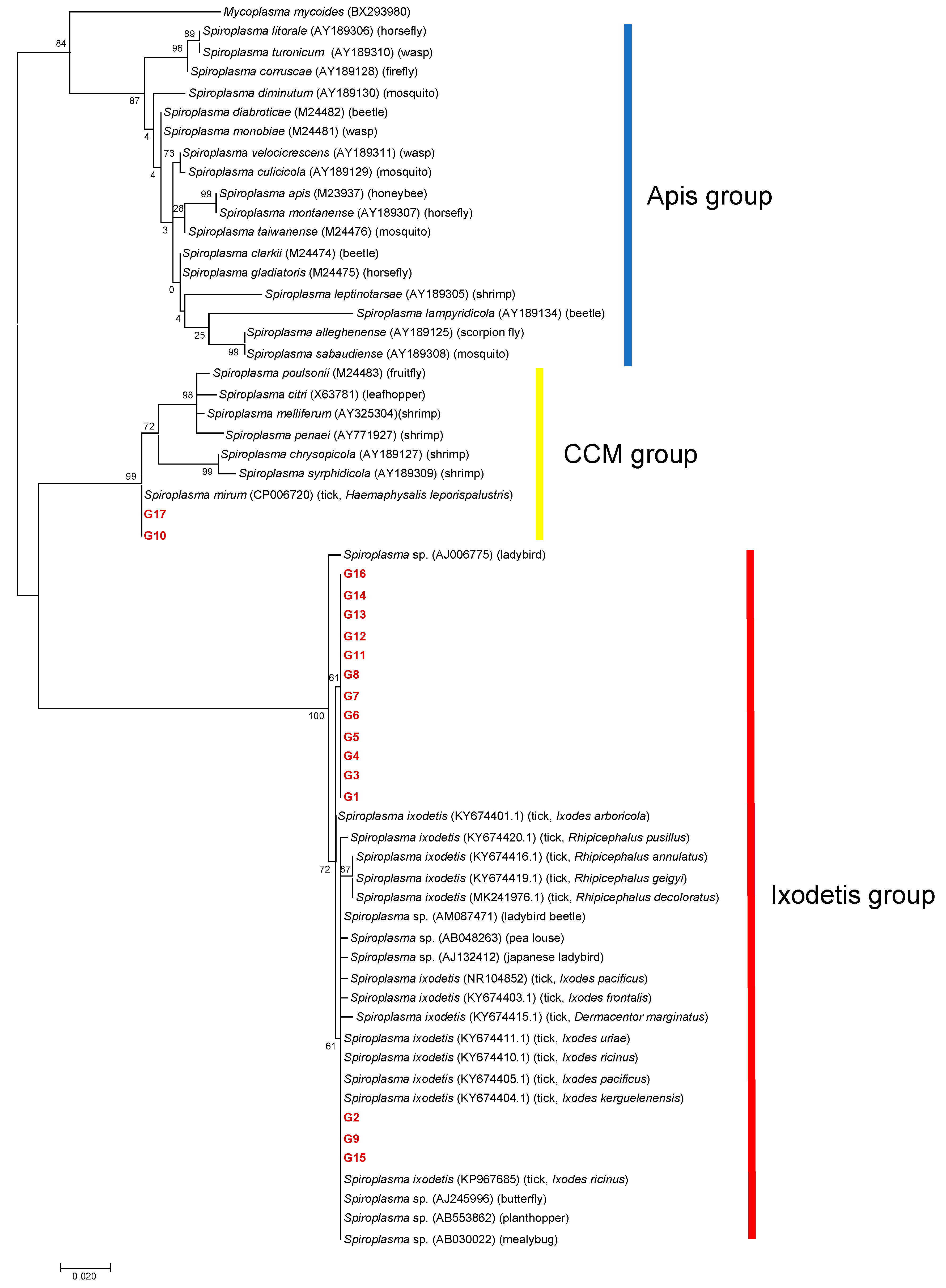 Microorganisms 09 00333 g003