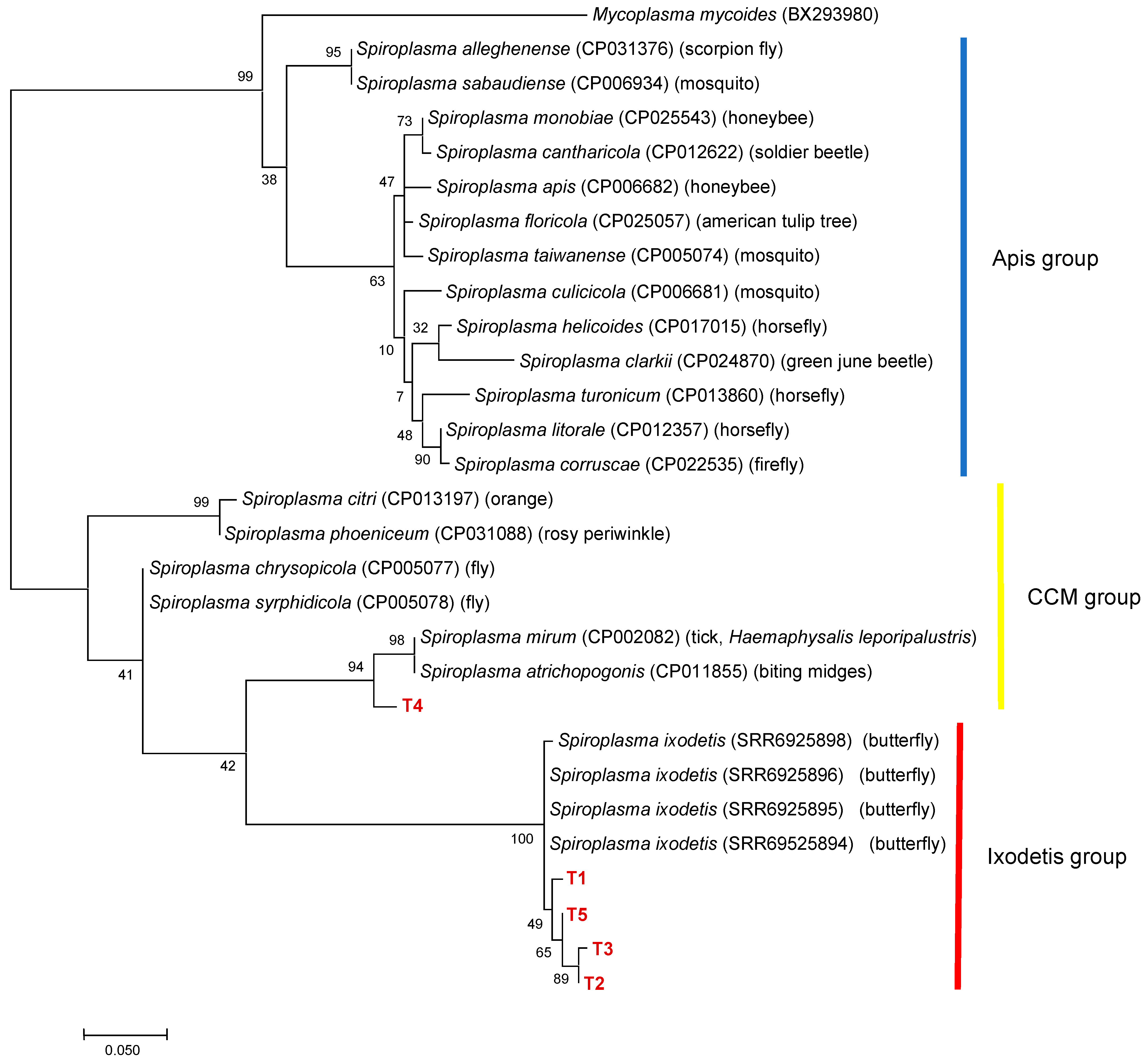 Microorganisms 09 00333 g004