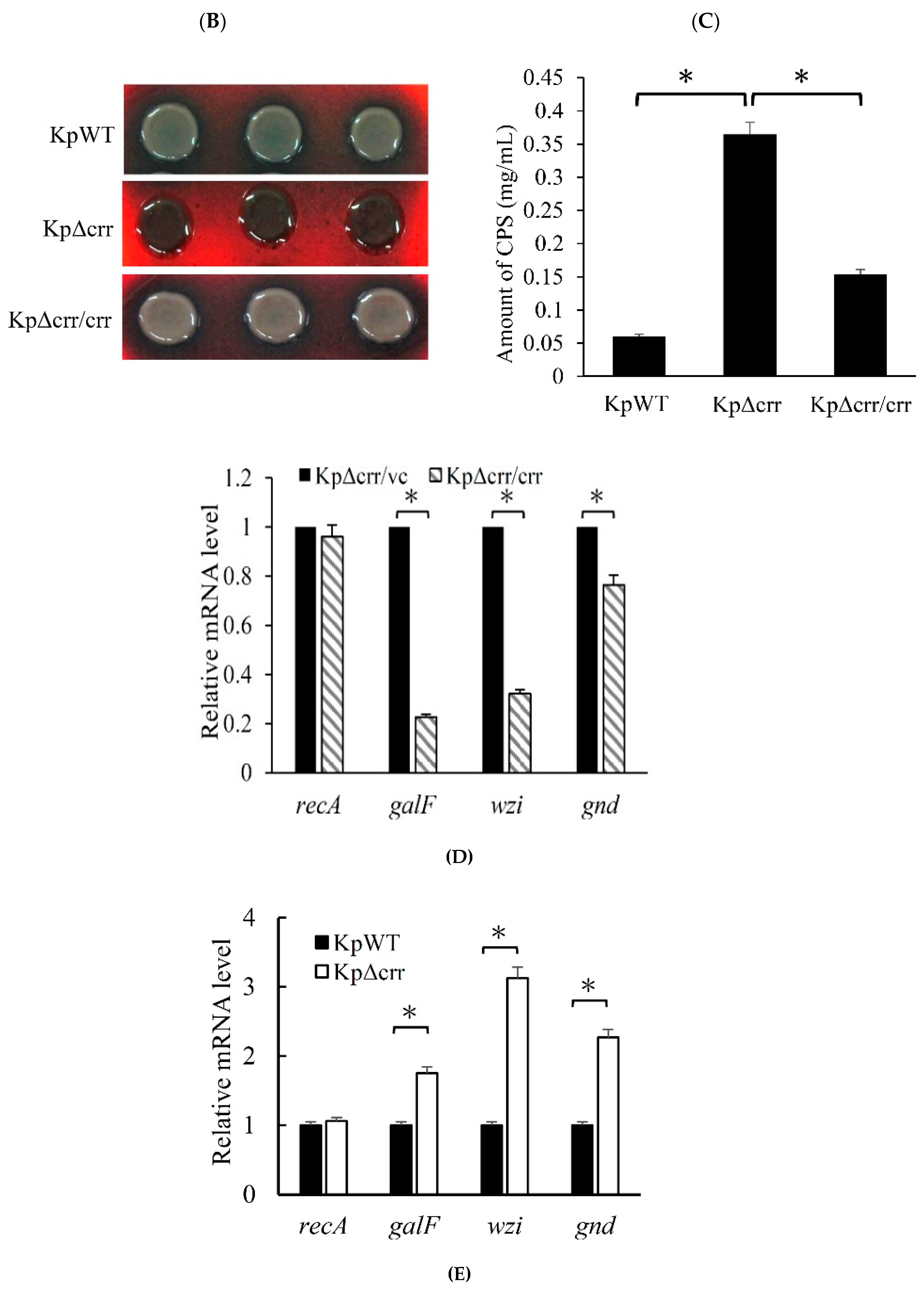 Microorganisms 09 00335 g003b