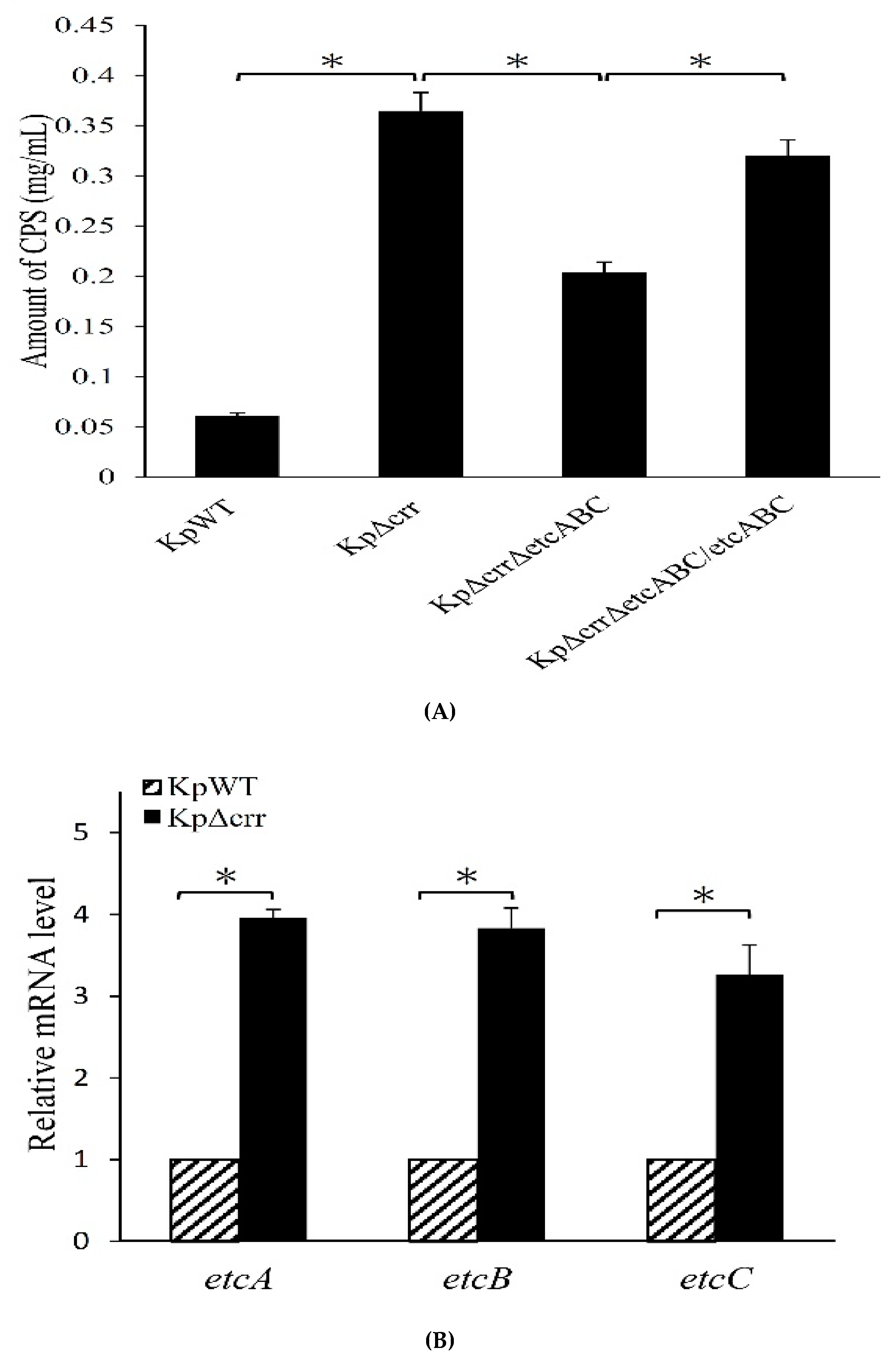 Microorganisms 09 00335 g005a
