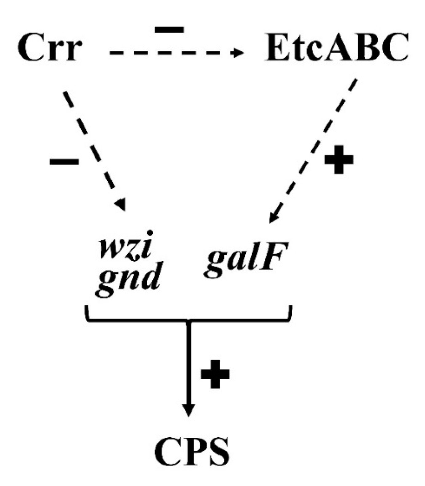 Microorganisms 09 00335 g006