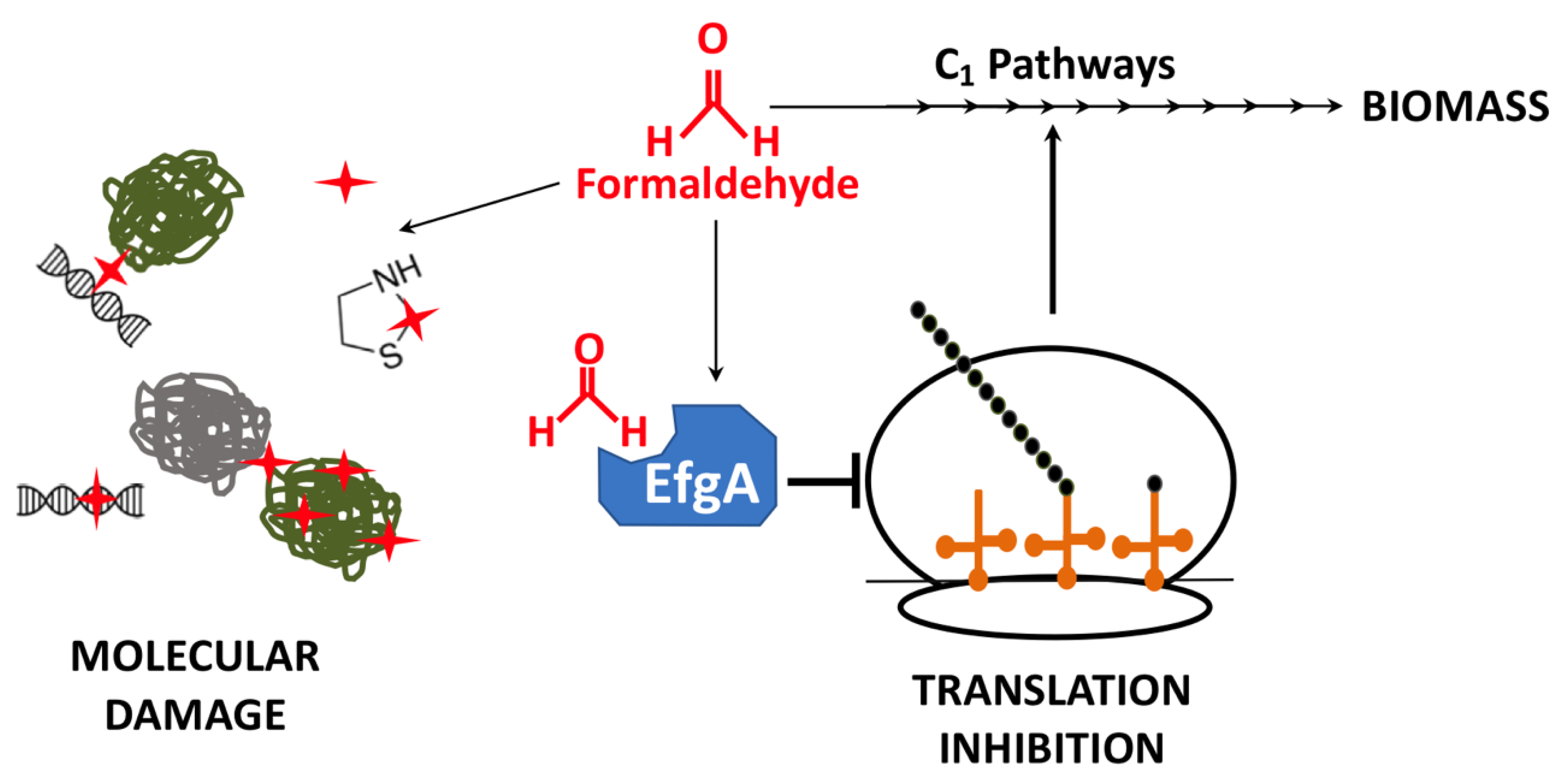 Microorganisms 09 00347 g001