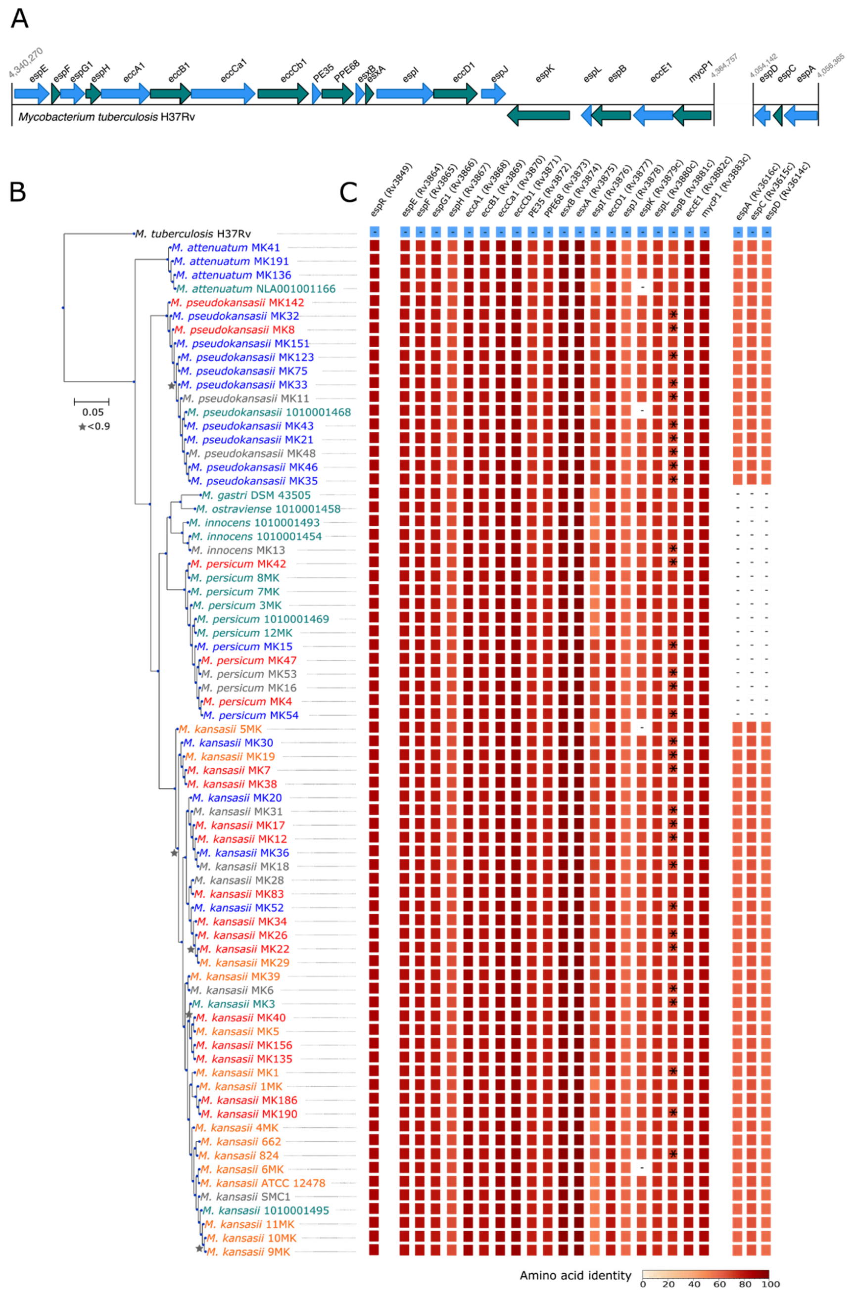 Microorganisms 09 00348 g001