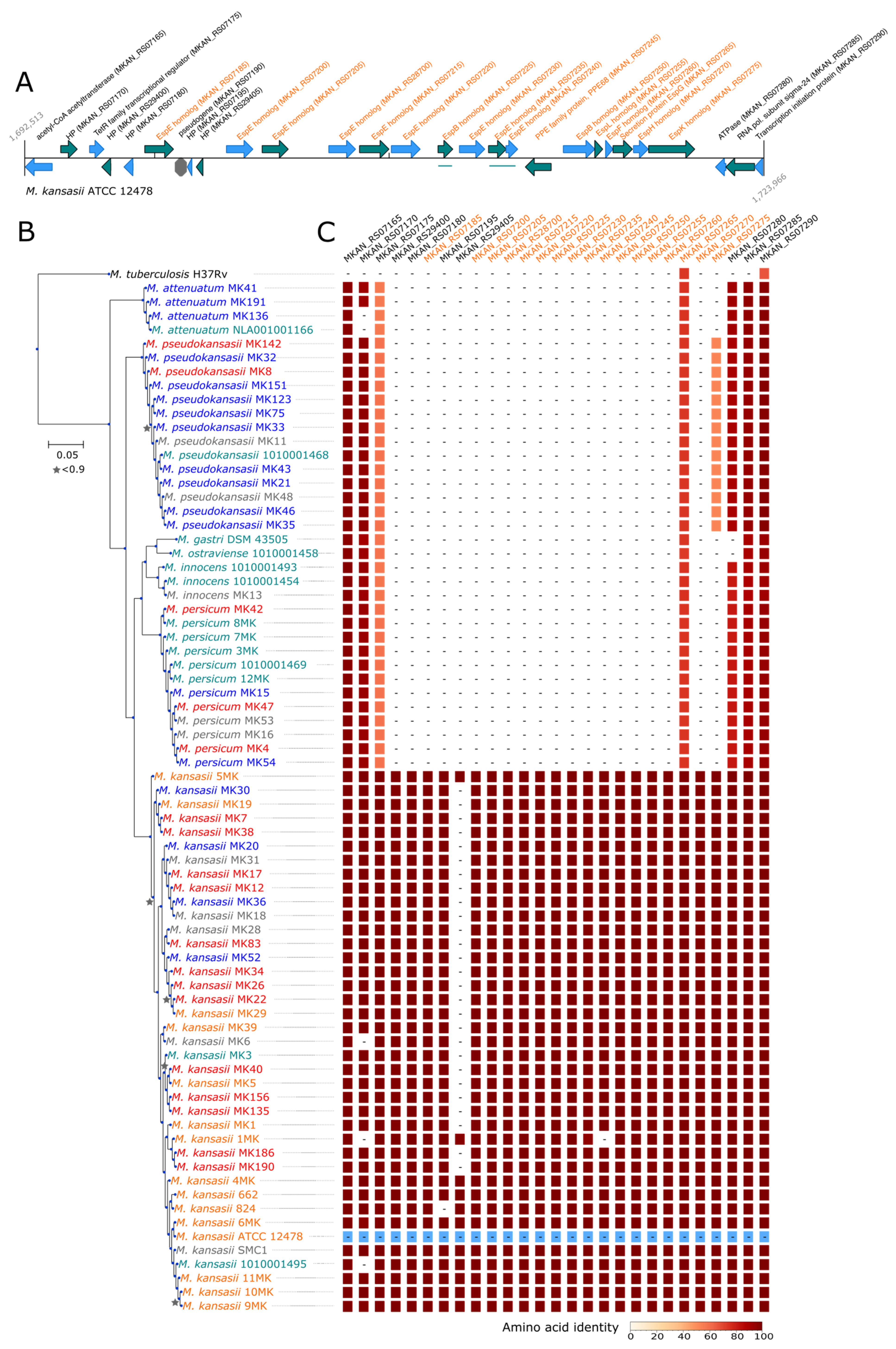Microorganisms 09 00348 g002