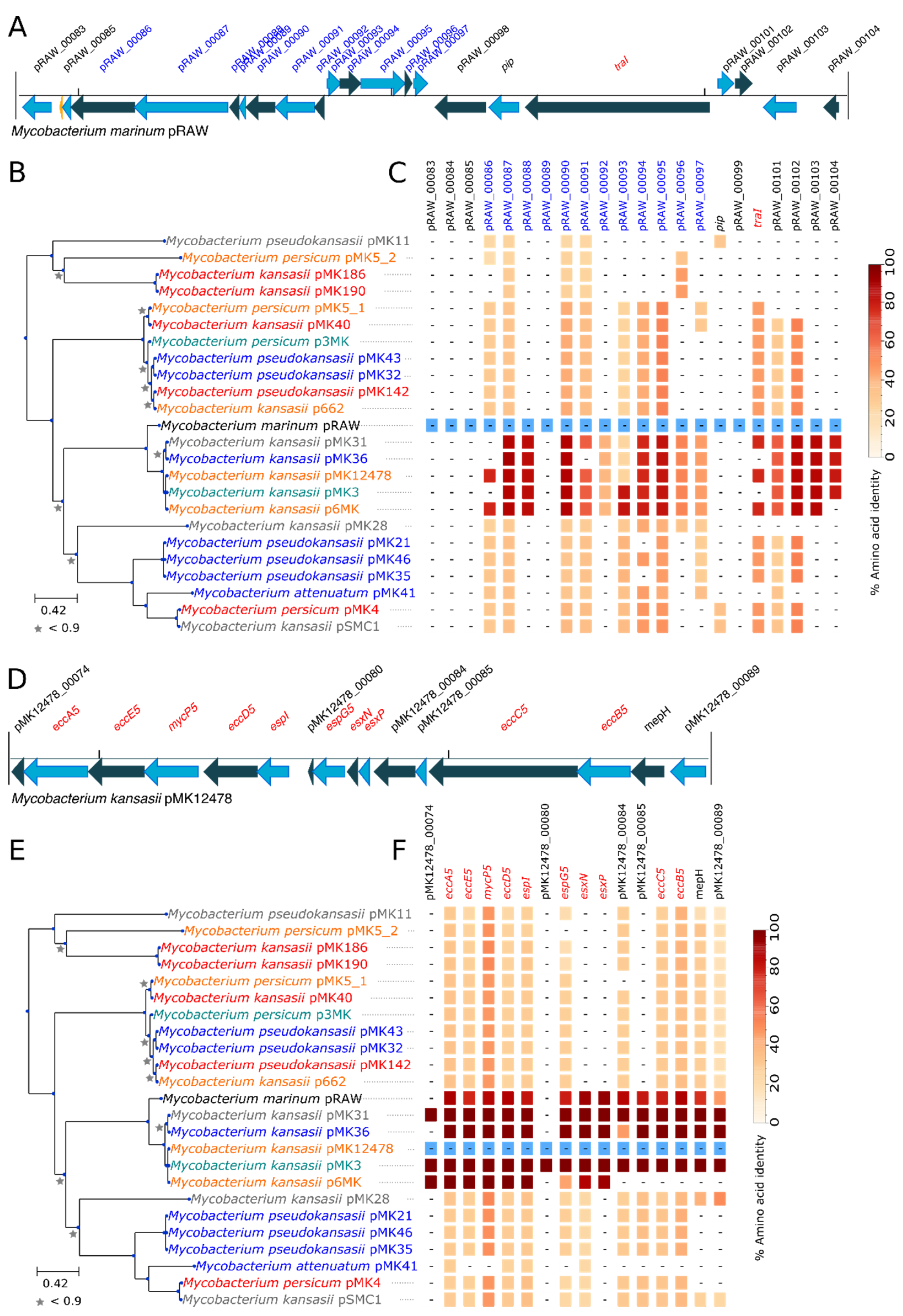 Microorganisms 09 00348 g005