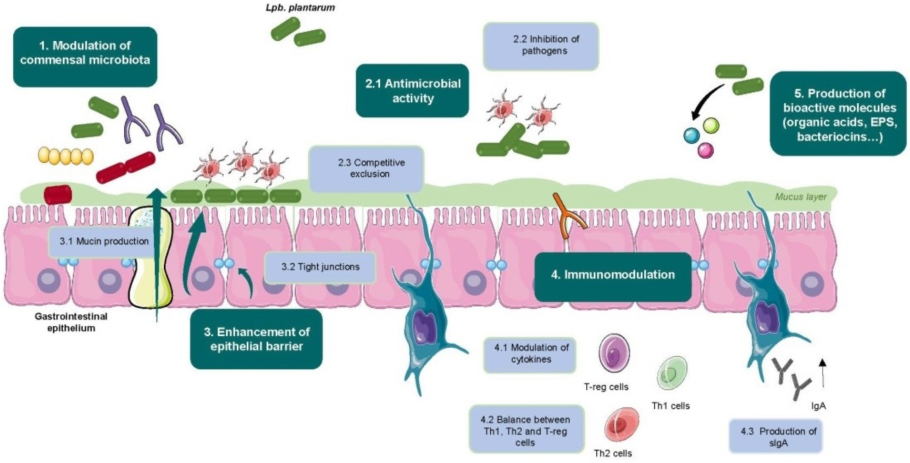 Microorganisms 09 00349 g001