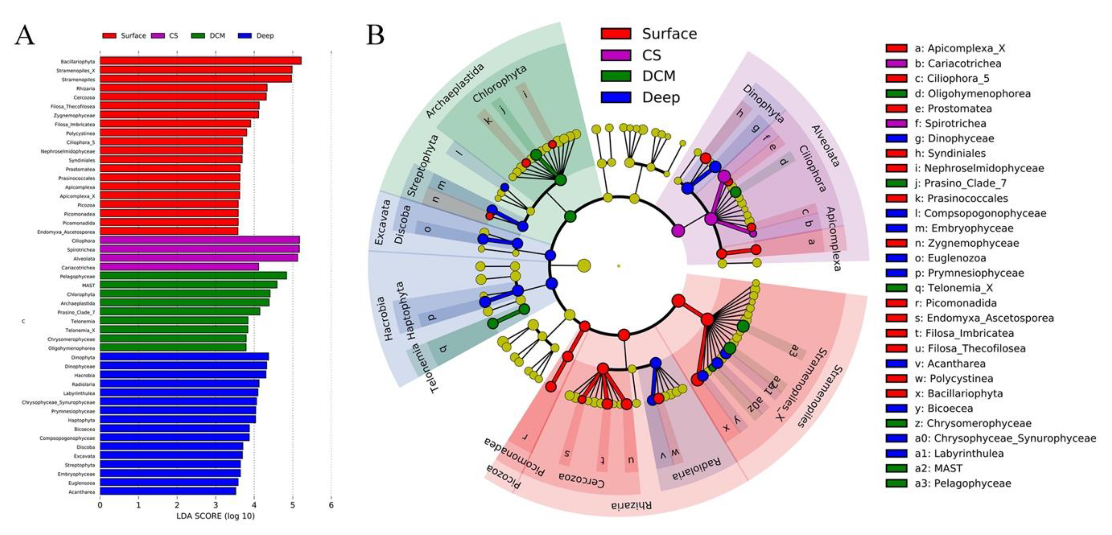 Microorganisms 09 00351 g004