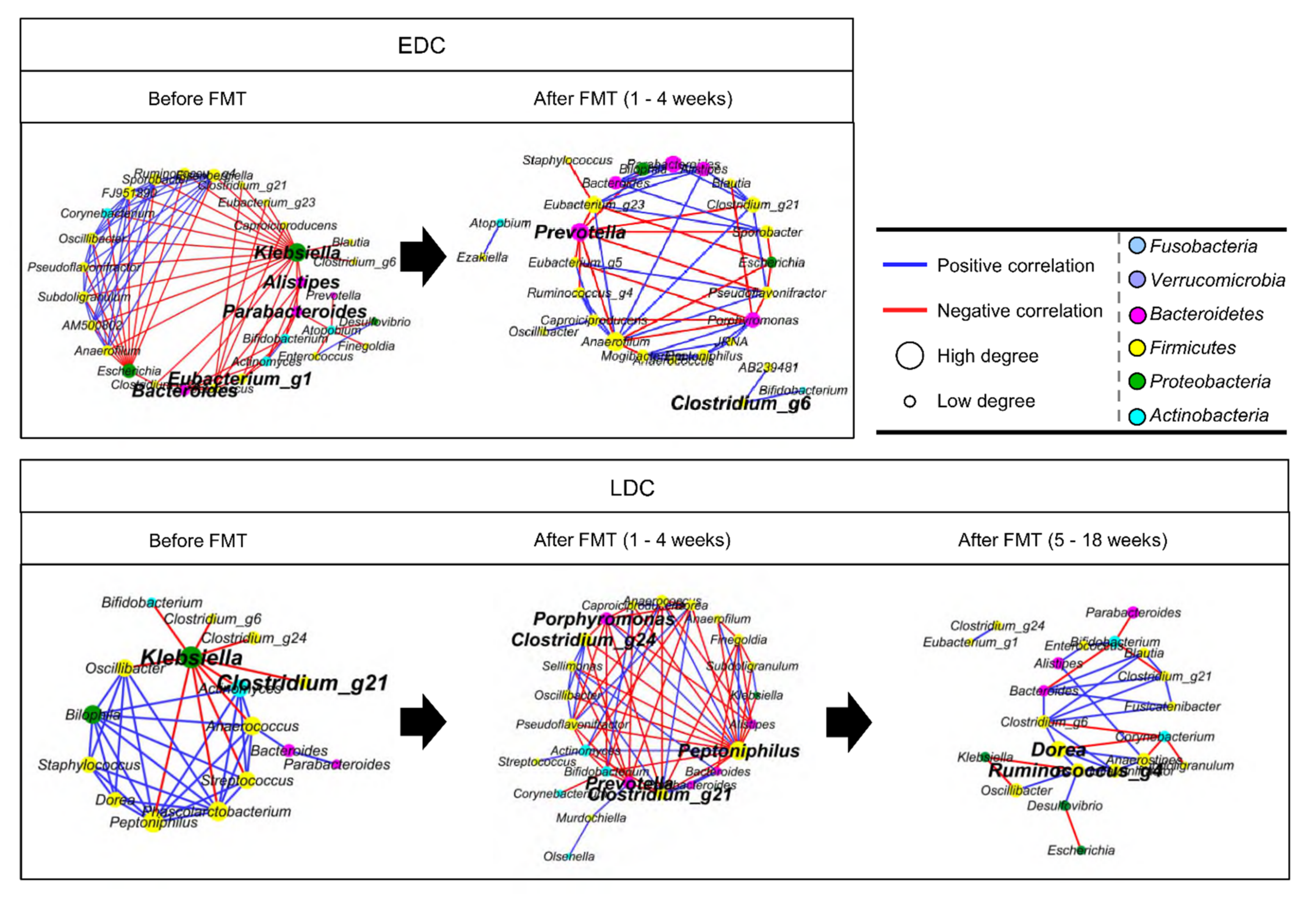 Microorganisms 09 00352 g004