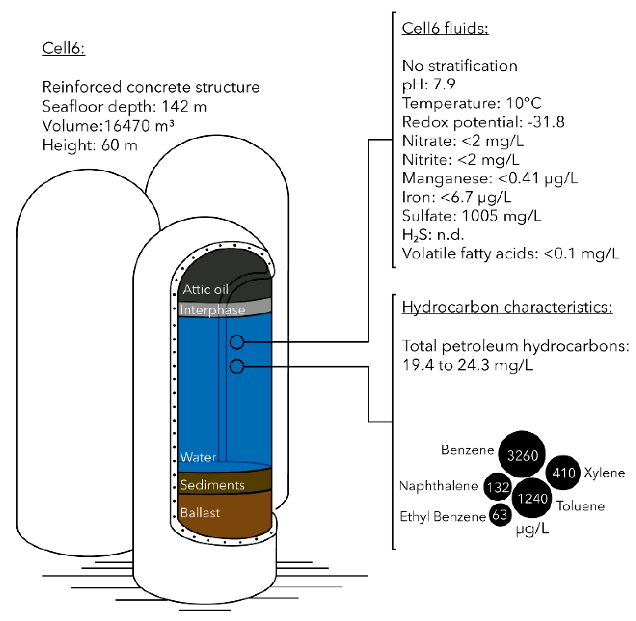 Microorganisms 09 00356 g001