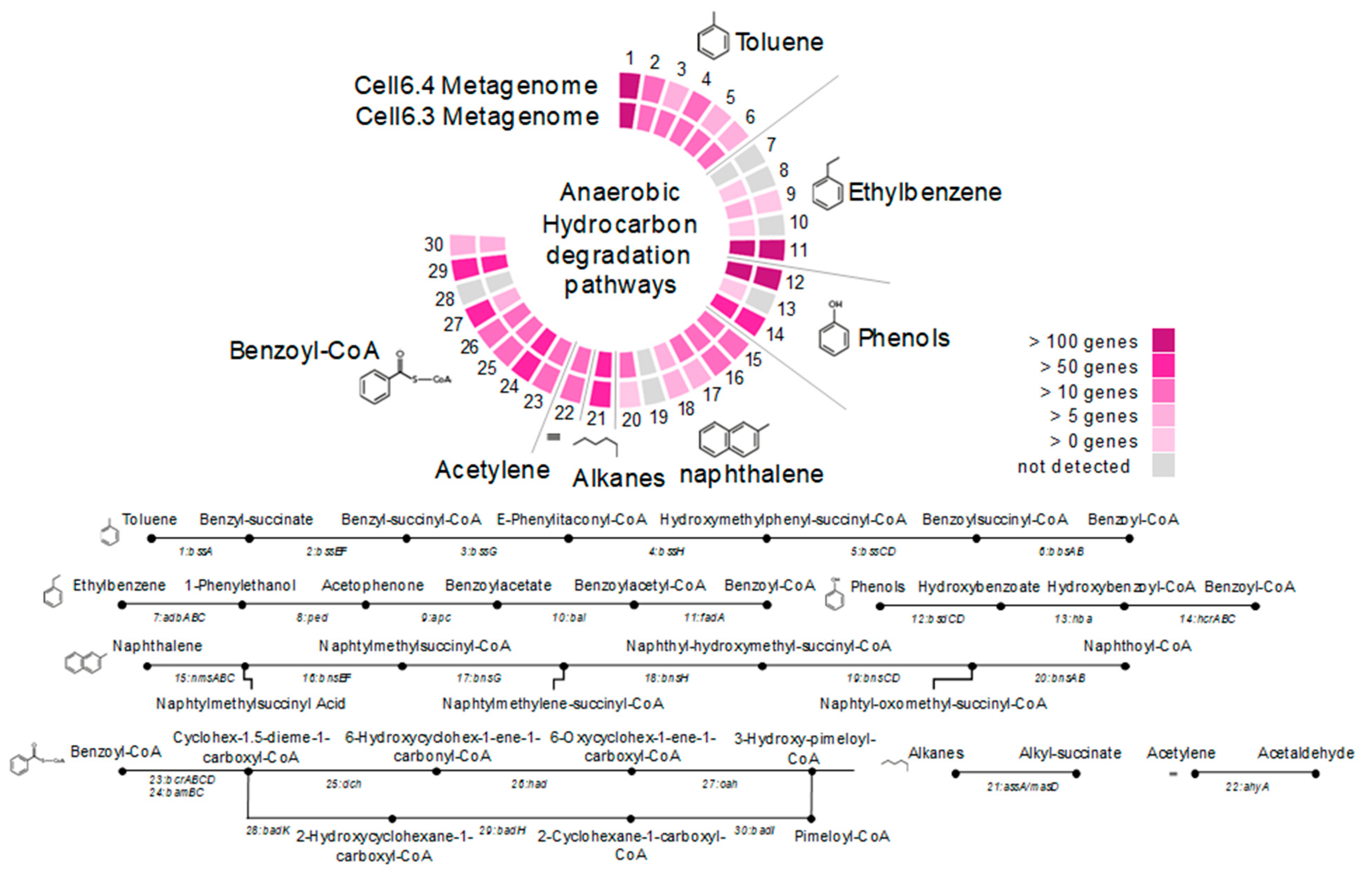Microorganisms 09 00356 g003
