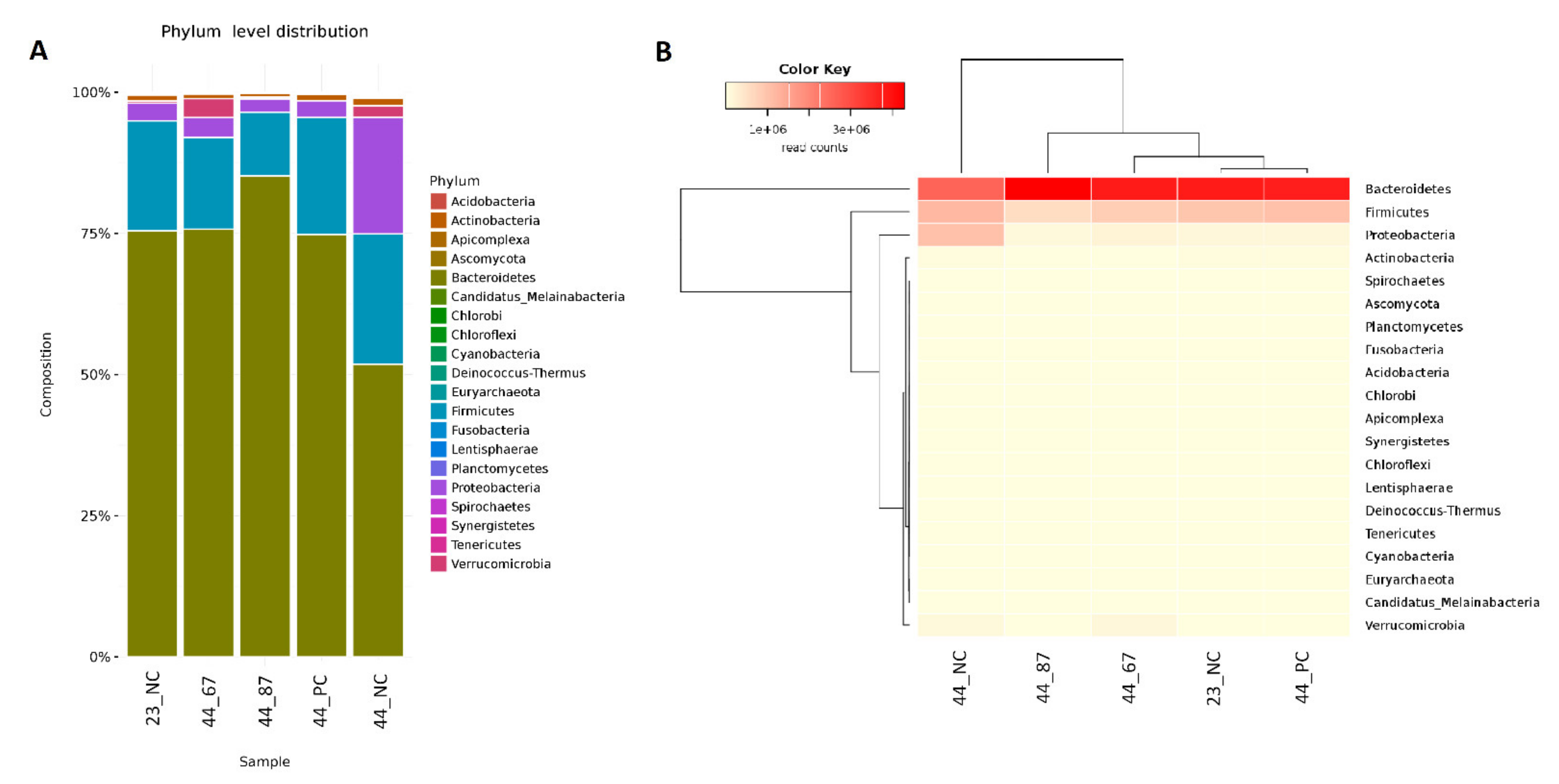 Microorganisms 09 00360 g001