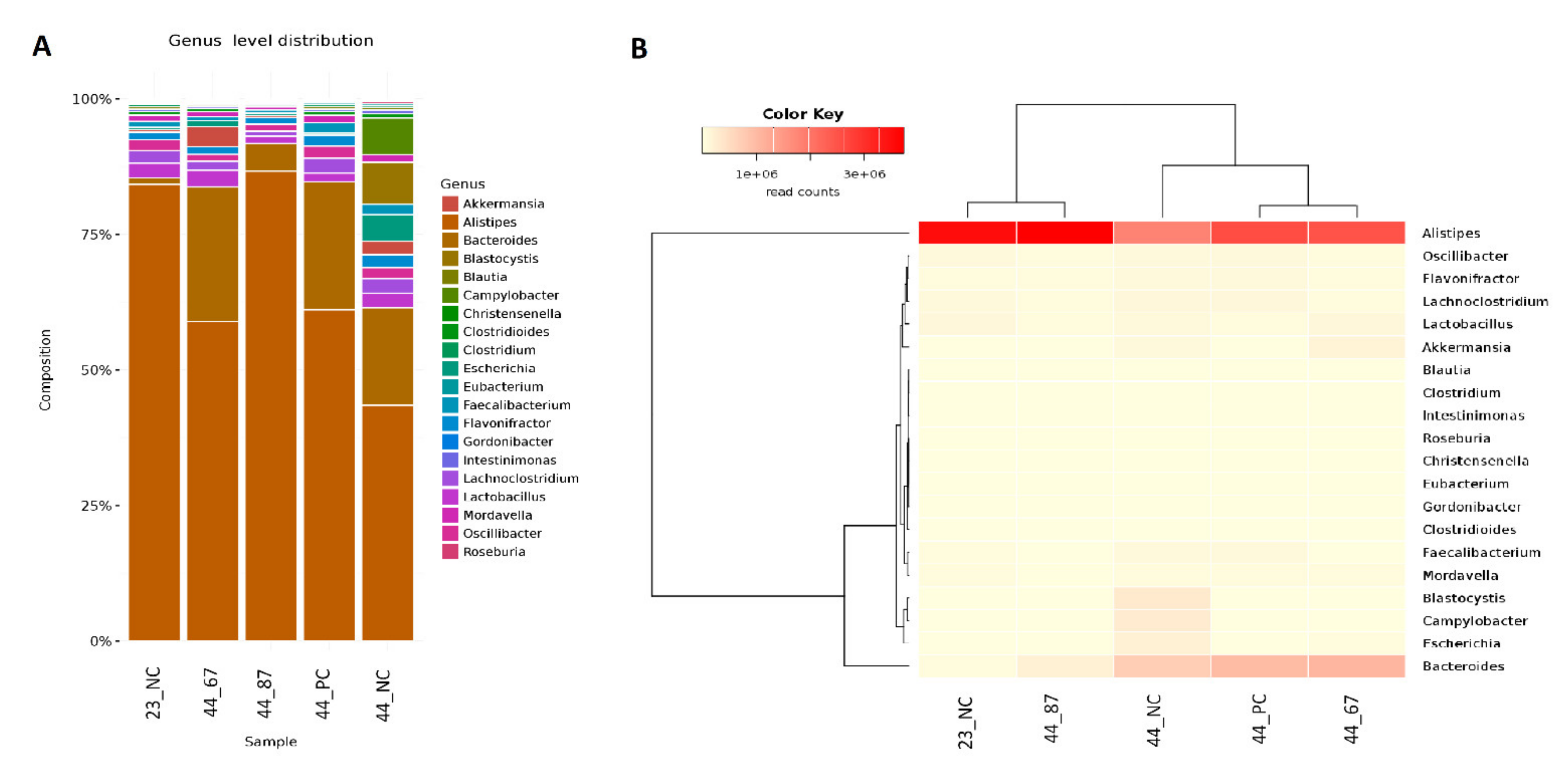 Microorganisms 09 00360 g002