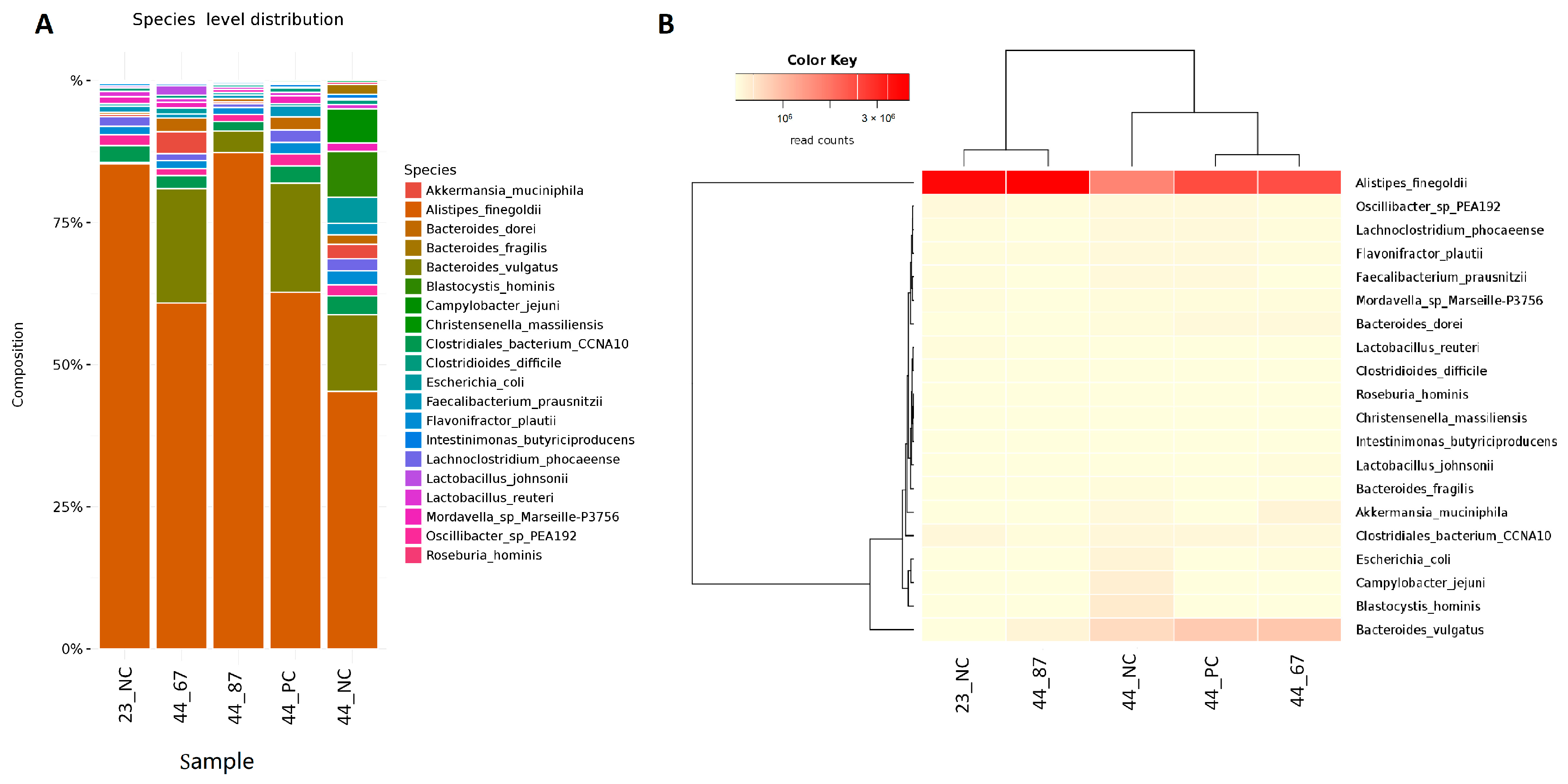 Microorganisms 09 00360 g003