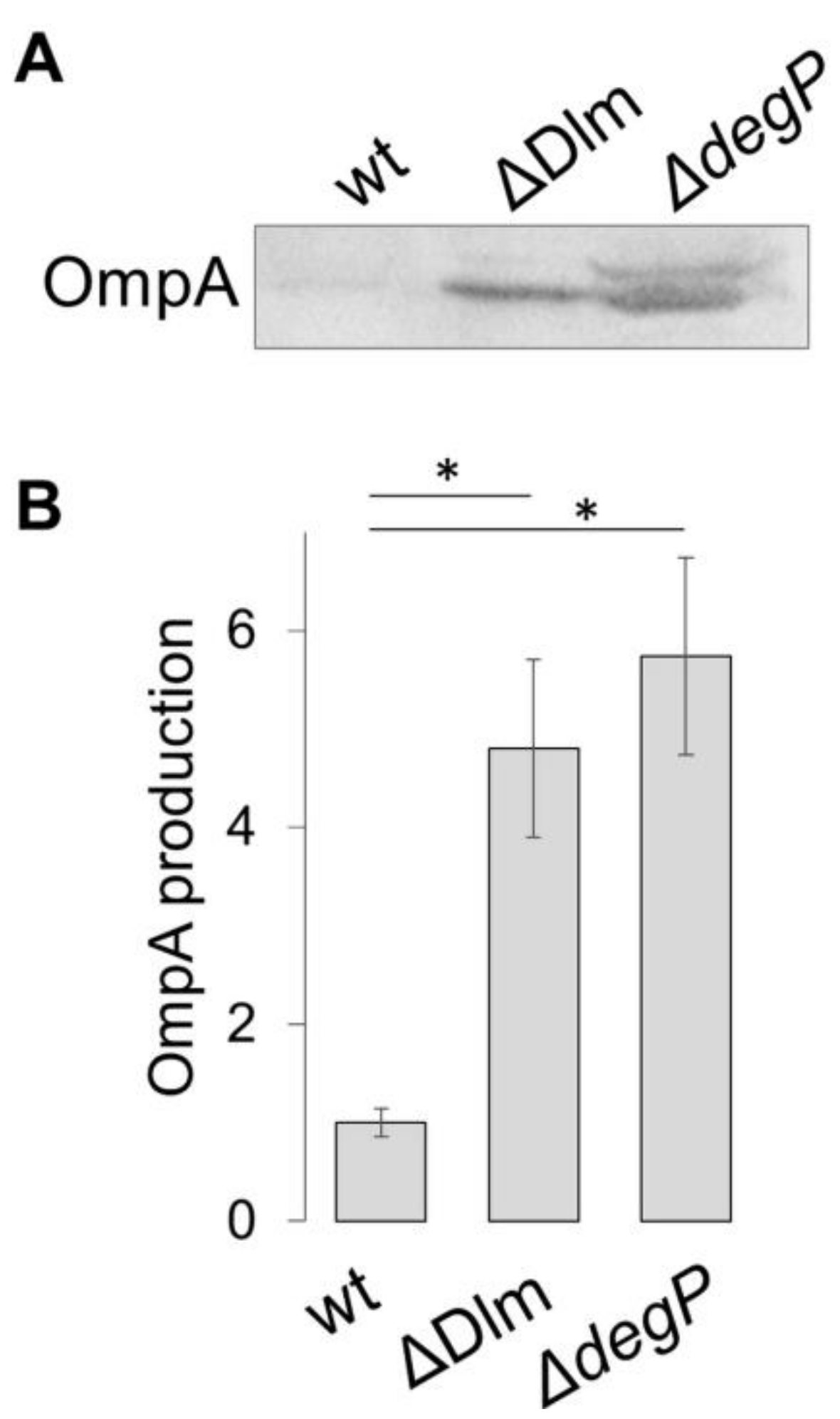 Microorganisms 09 00369 g002