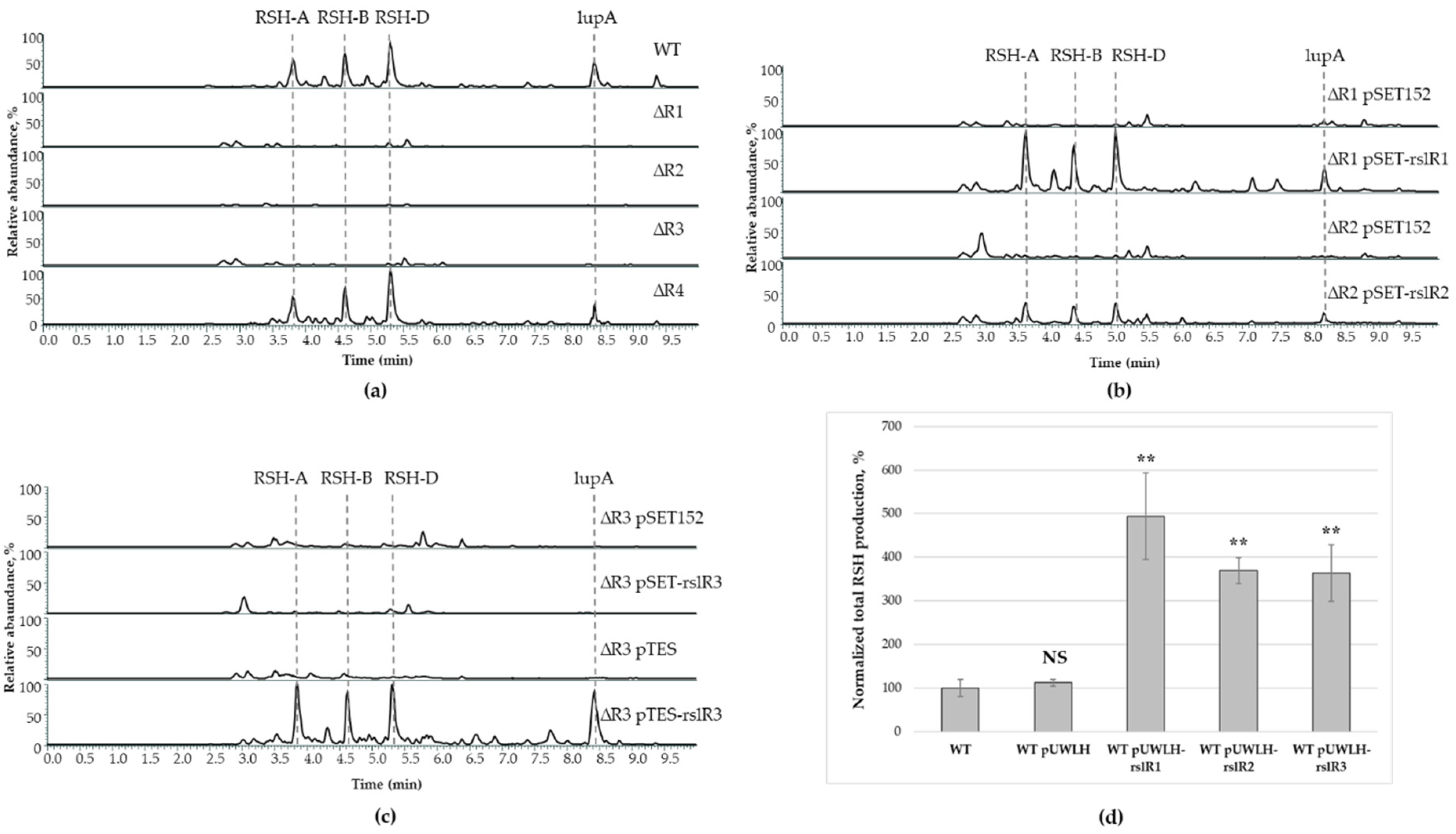 Microorganisms 09 00374 g001