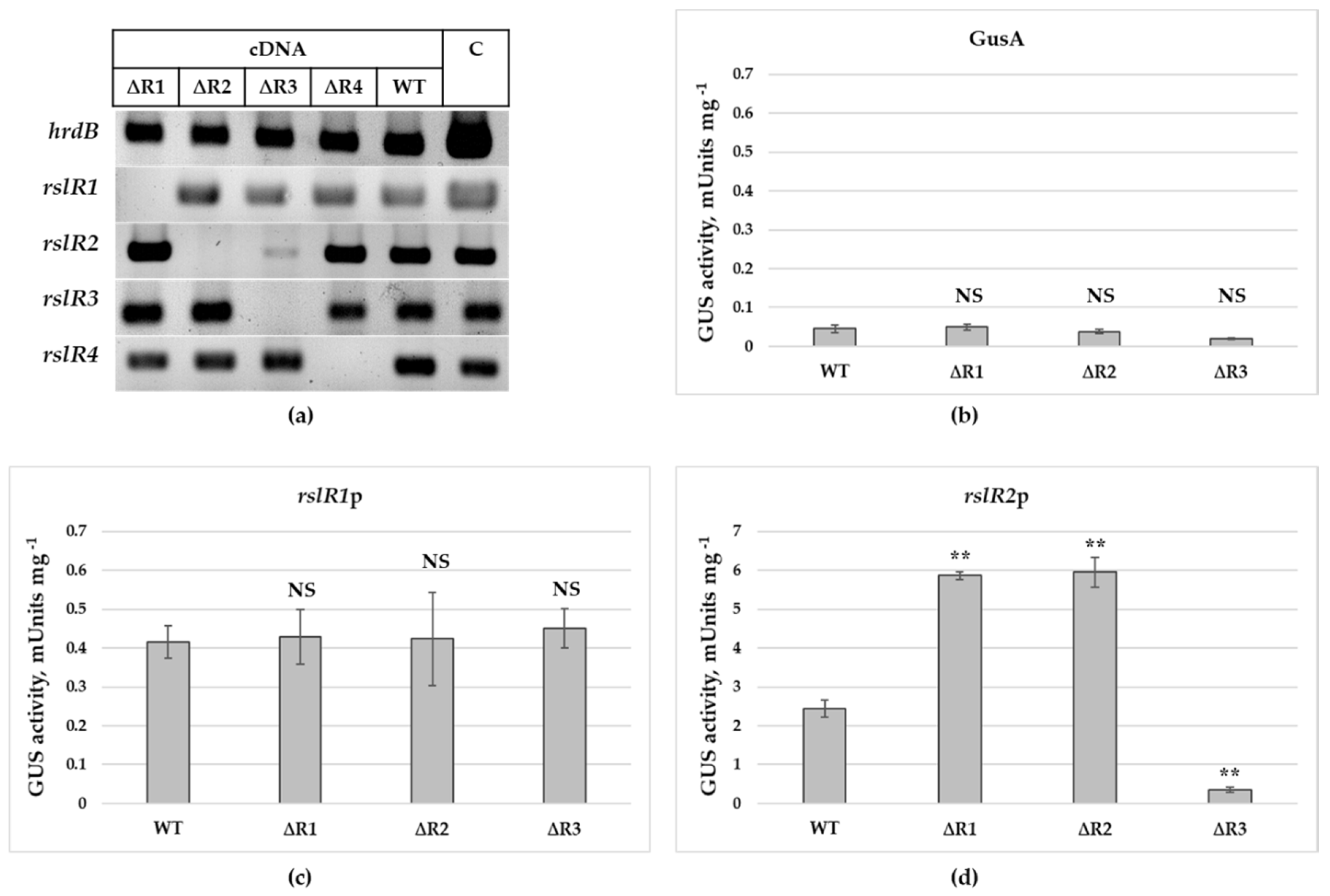 Microorganisms 09 00374 g002
