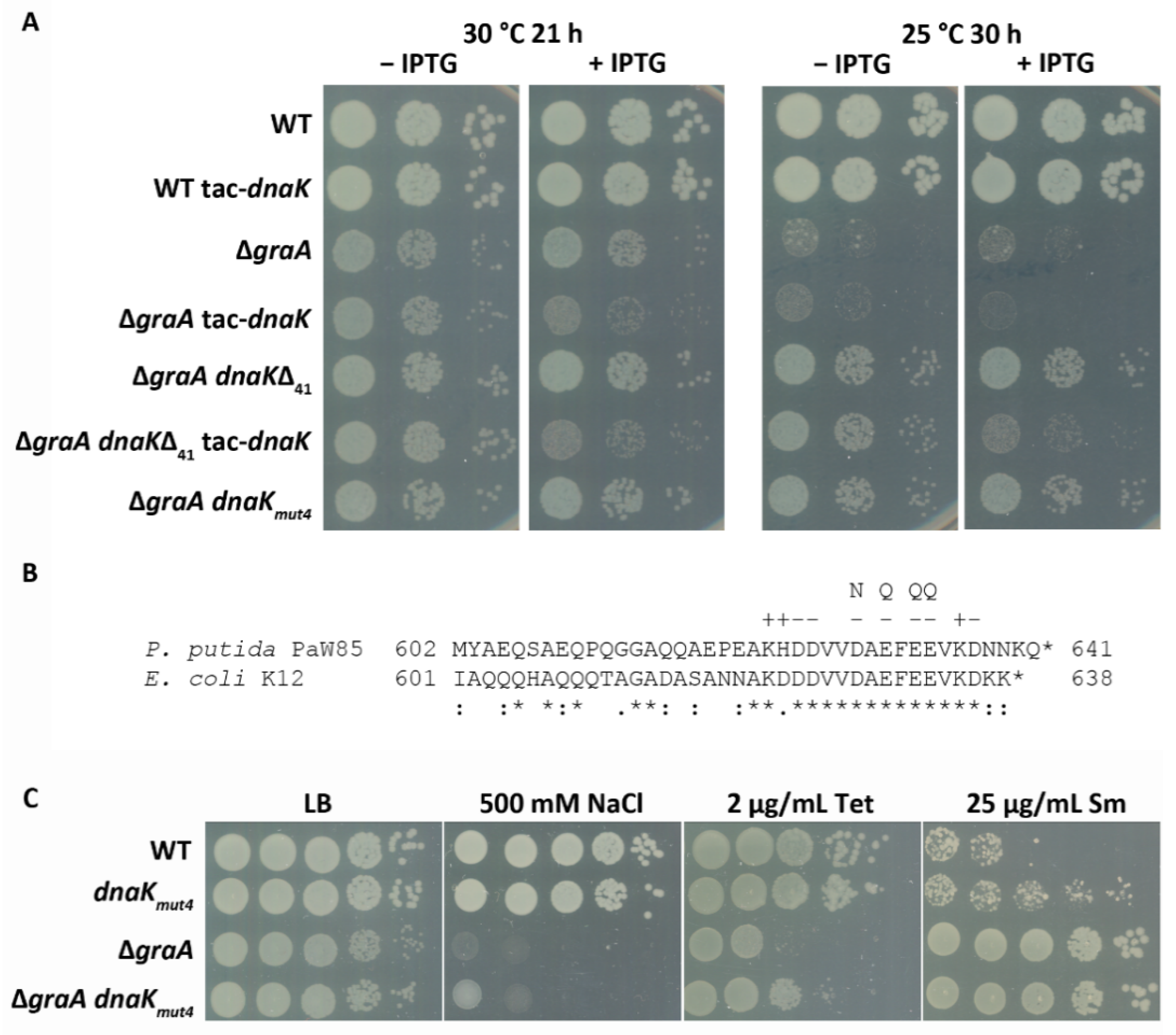 Microorganisms 09 00375 g002
