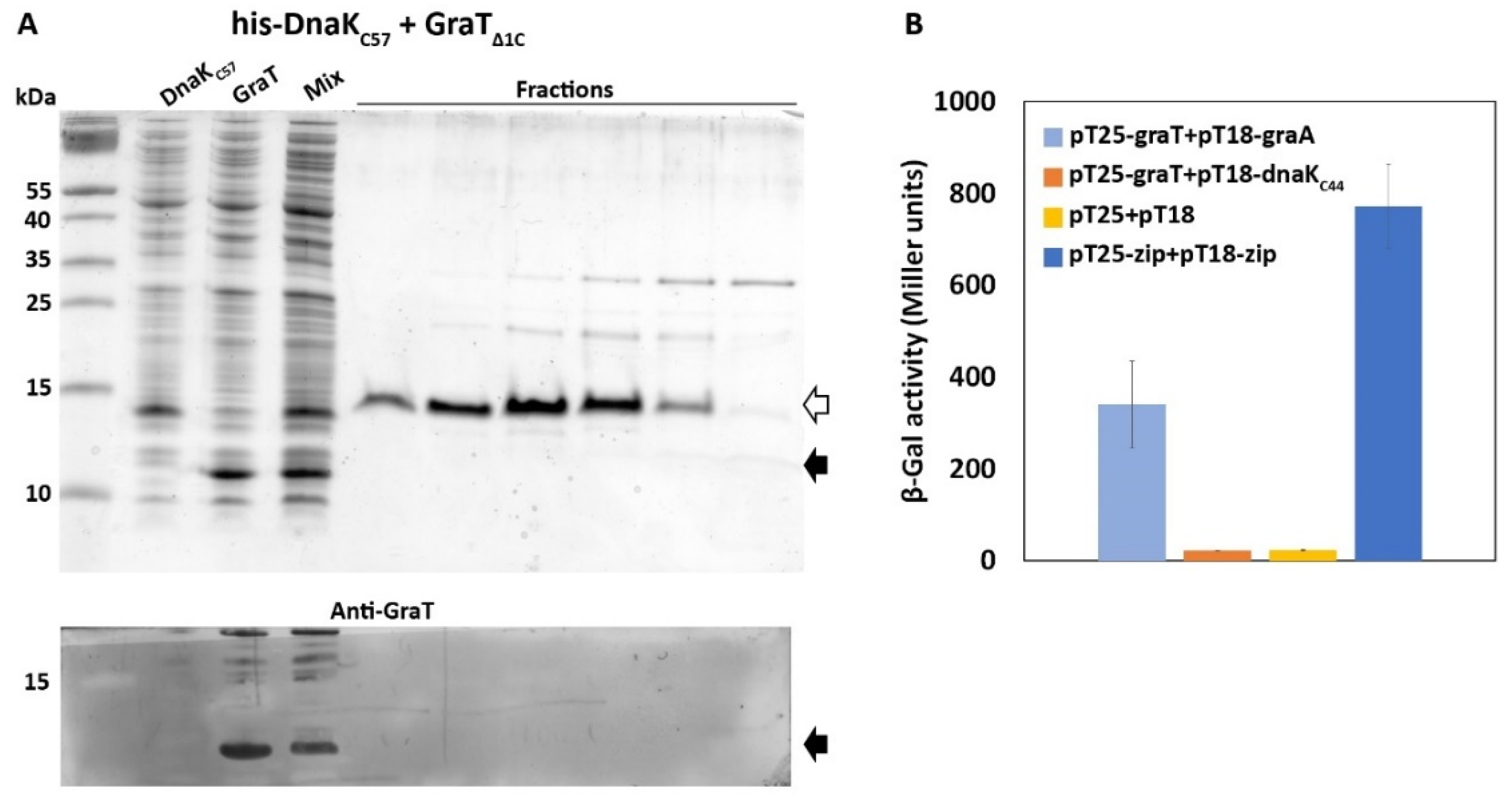 Microorganisms 09 00375 g003