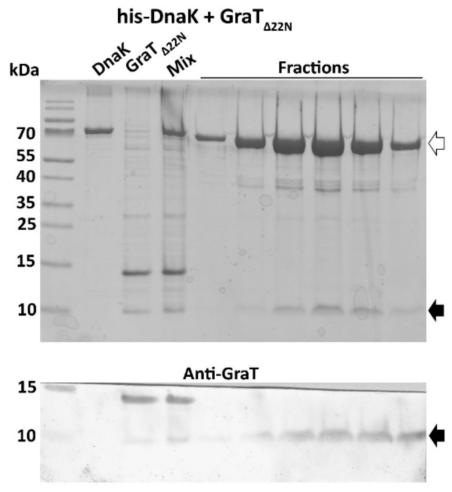 Microorganisms 09 00375 g004