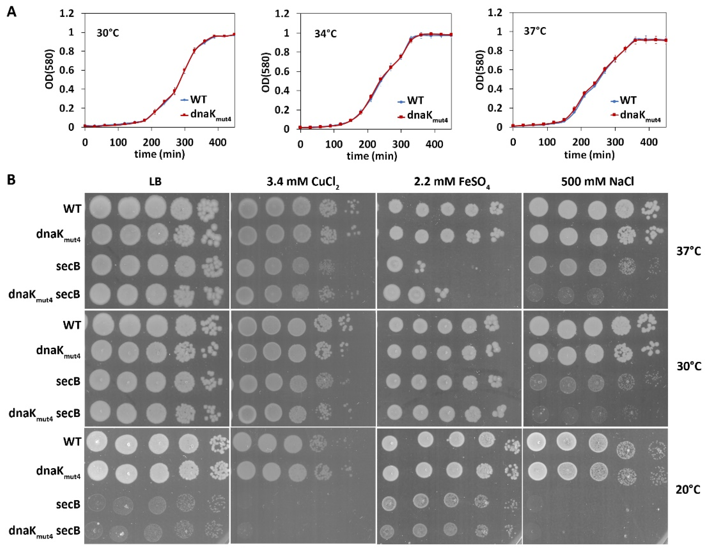 Microorganisms 09 00375 g005