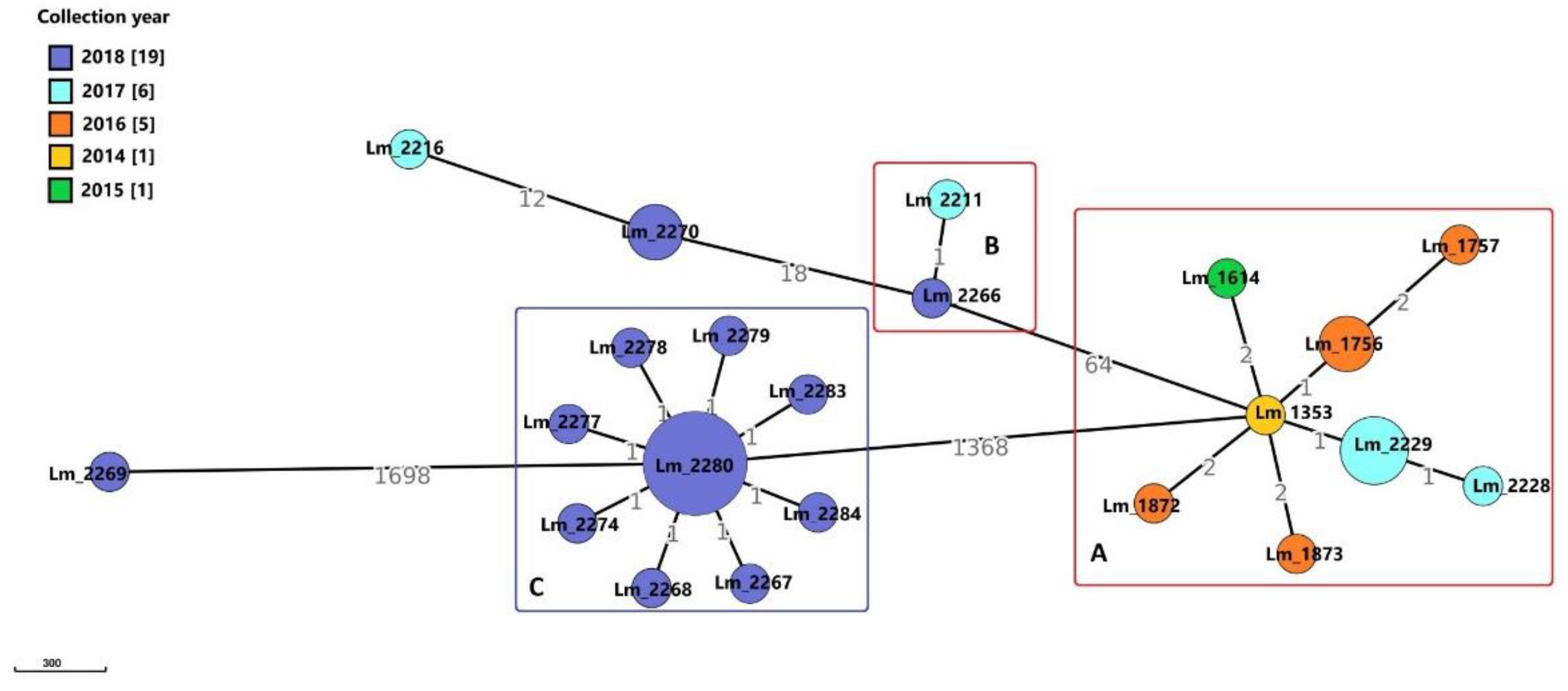 Microorganisms 09 00376 g001