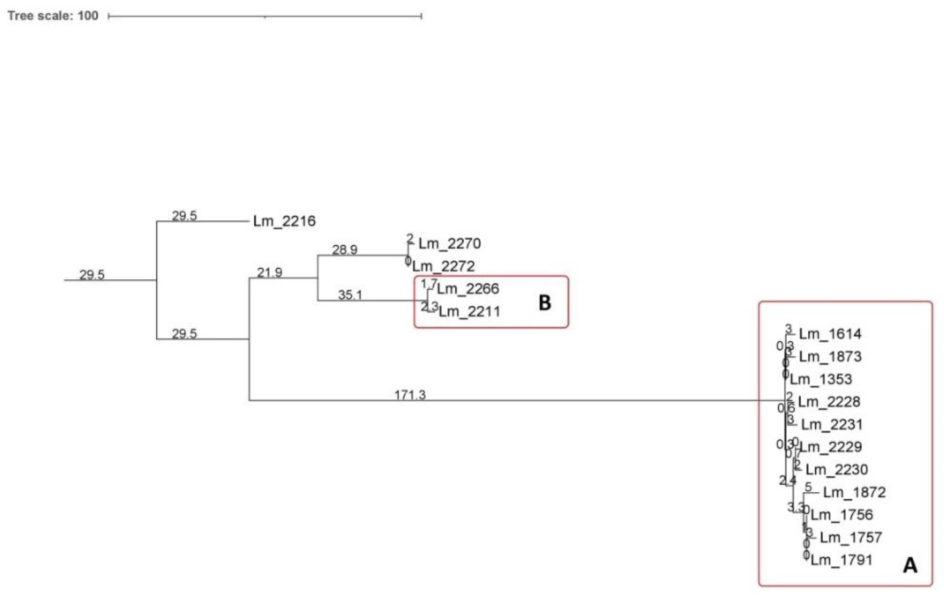 Microorganisms 09 00376 g002