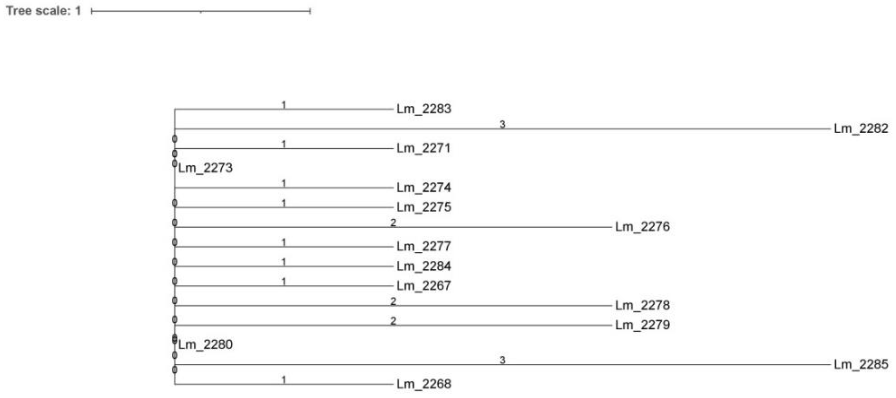 Microorganisms 09 00376 g003