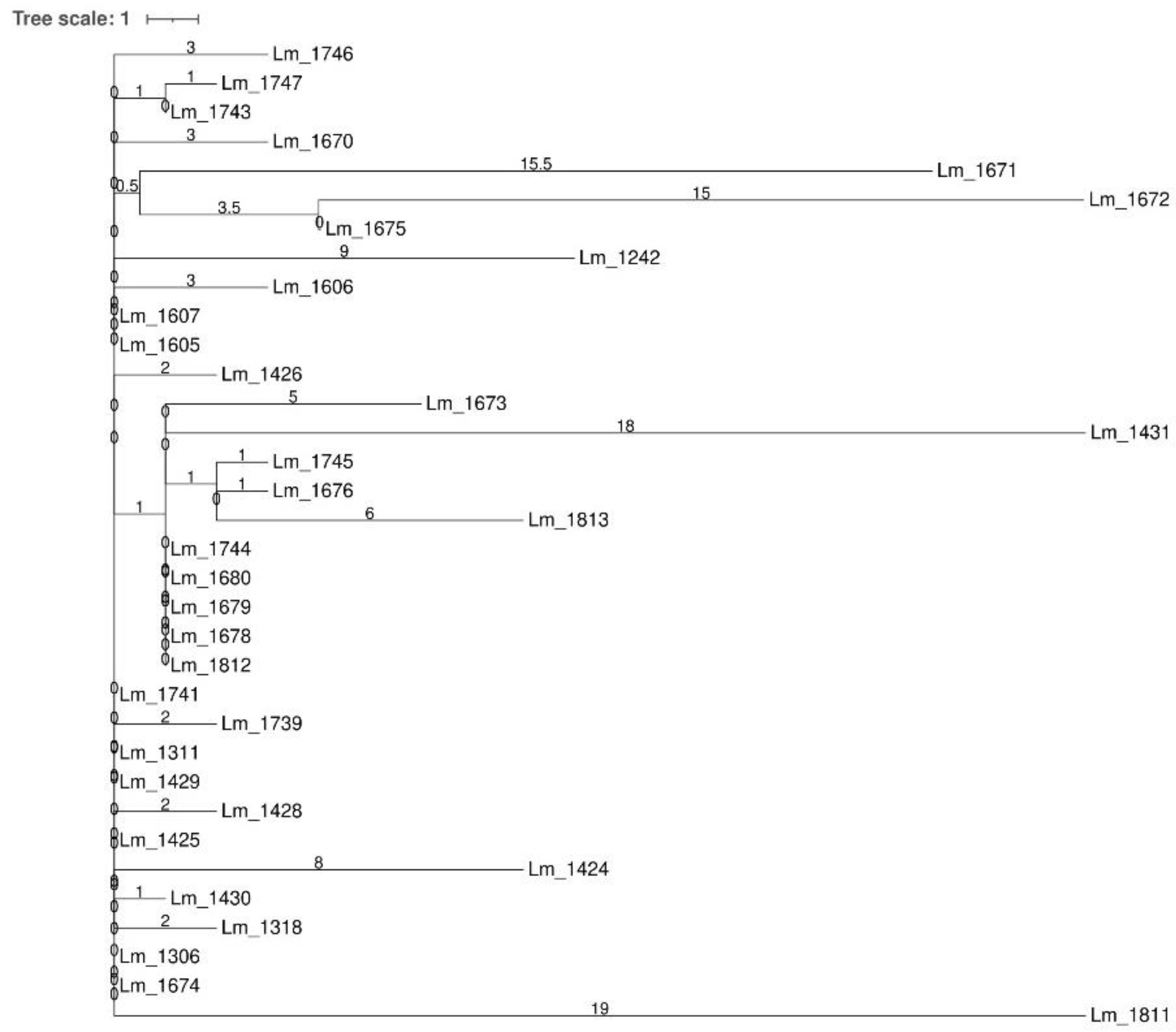 Microorganisms 09 00376 g005